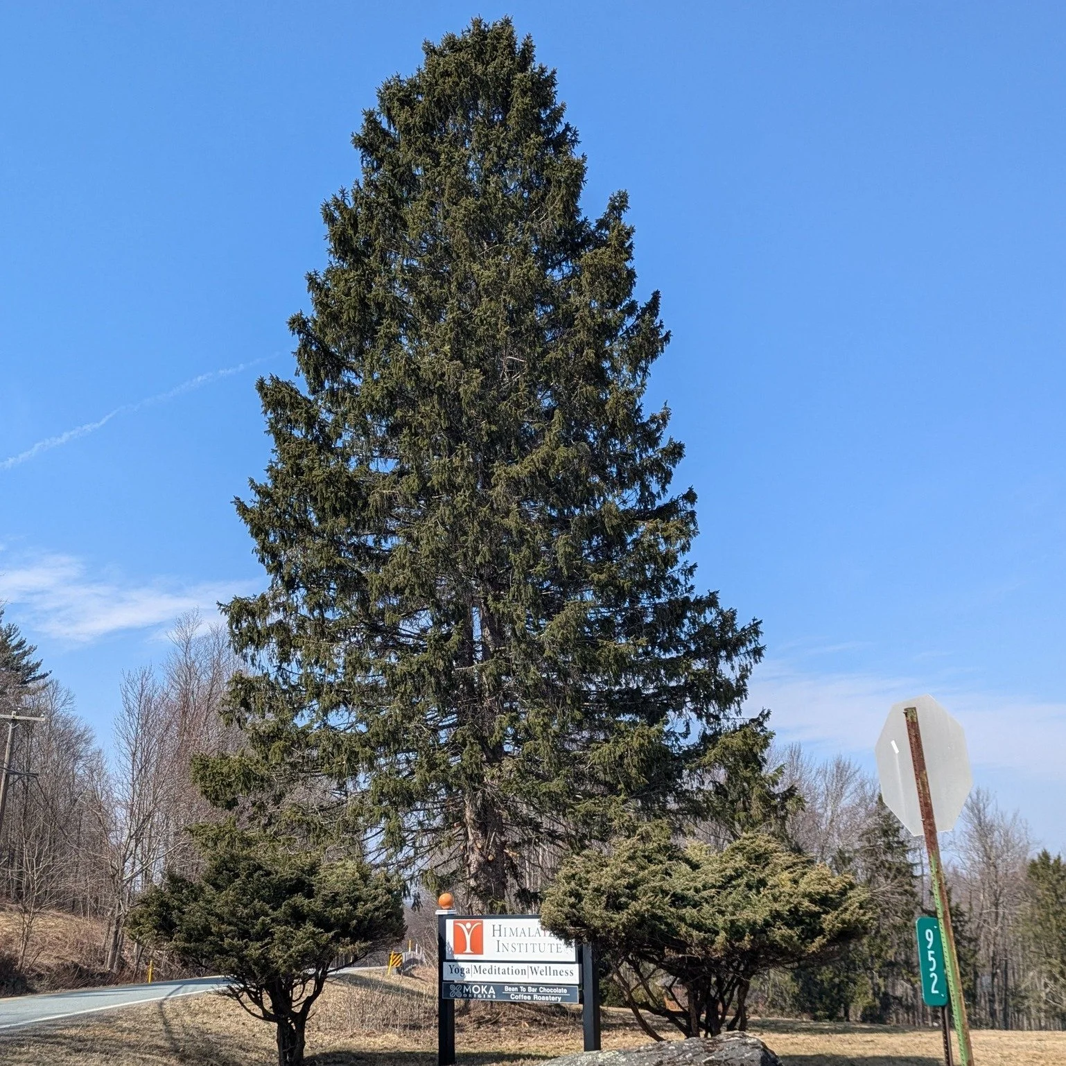 Himalayan Institute, home to upcoming Sacred Sound, Silence &amp; Stillness retreat, is a place of pure, blissful magic.  Every layer of what this land and culture has to offer is nourishing and beyond!

Arrive and be held by the tranquil grounds.  T