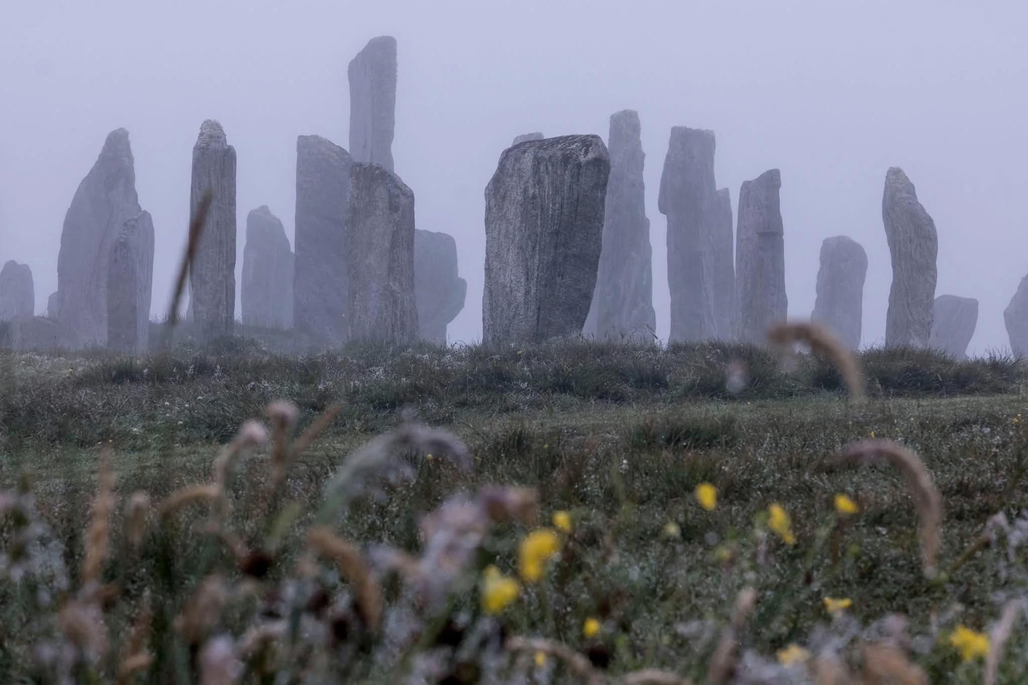 How to Leave your Corporate Job: Strategies from my Lived Experience of Leaving Nursing to dive fully into sound baths as my livelihood