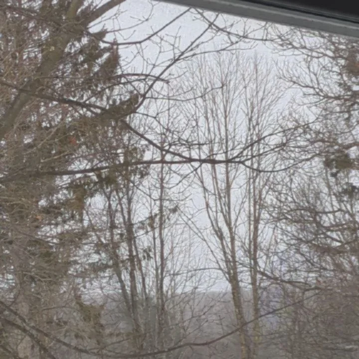 This Winter has been brutal. &nbsp;The stillness, energy drawn in from the freezing cold, the quiet, bottom of the exhale, the nondoing. &nbsp;It has brought me closer to a deeper awareness of Death that I have never before felt. &nbsp;A moment of &l