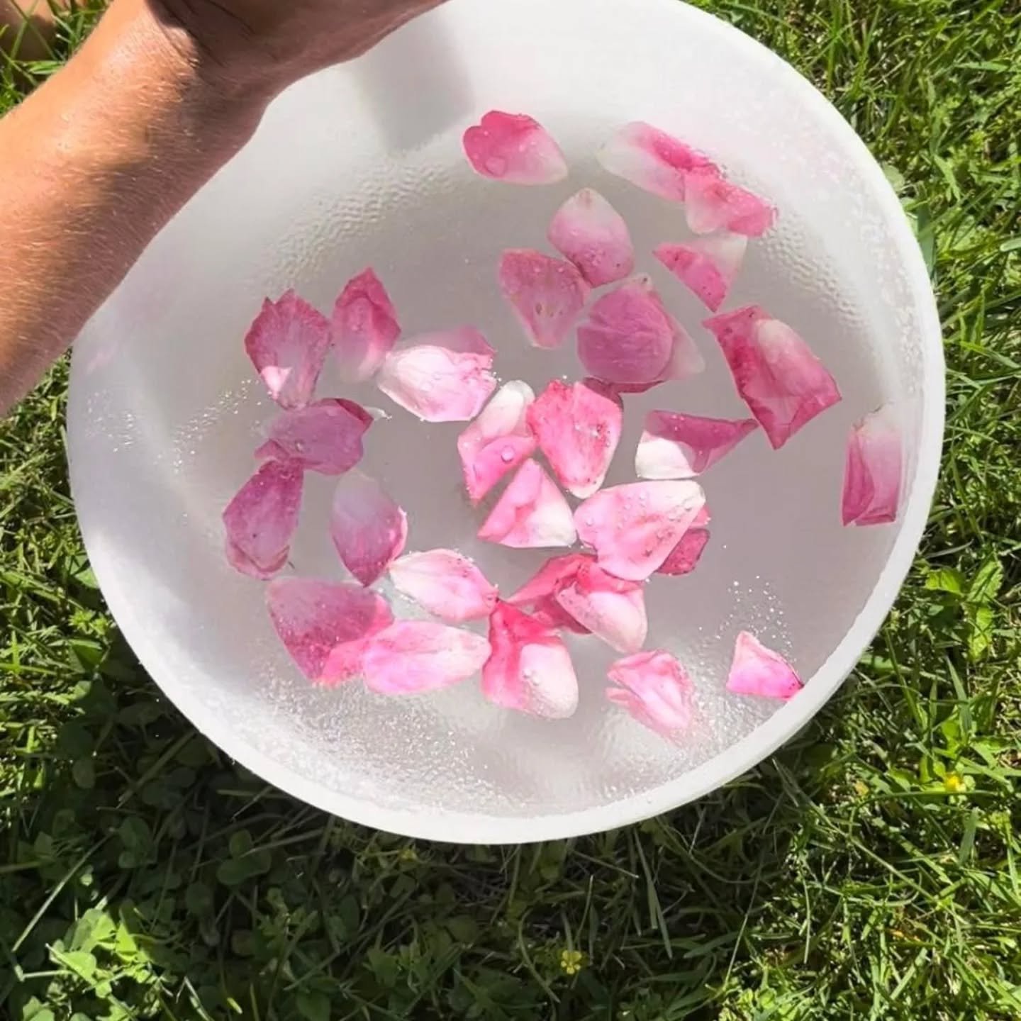 Revitalizing Spring Sound Immersion
with Jennifer Ryan
Friday April 3rd
6:30-8:00pm
Cost: $40
Spring is here! It is an exciting, dynamic season of warmth, abundant growth and light. How important it is to find the balance between this expansive energ