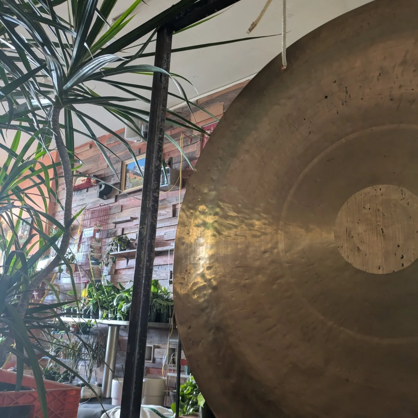 👀 only the best gong views at @perchplants 🌵☀️🤍

Another wonder-full sound immersion experience this past weekend at our friend's!

Mark your calendars for the next and keep your 👀 peeled for registration opening!!! Sunday 5.31 at 9:15am for your
