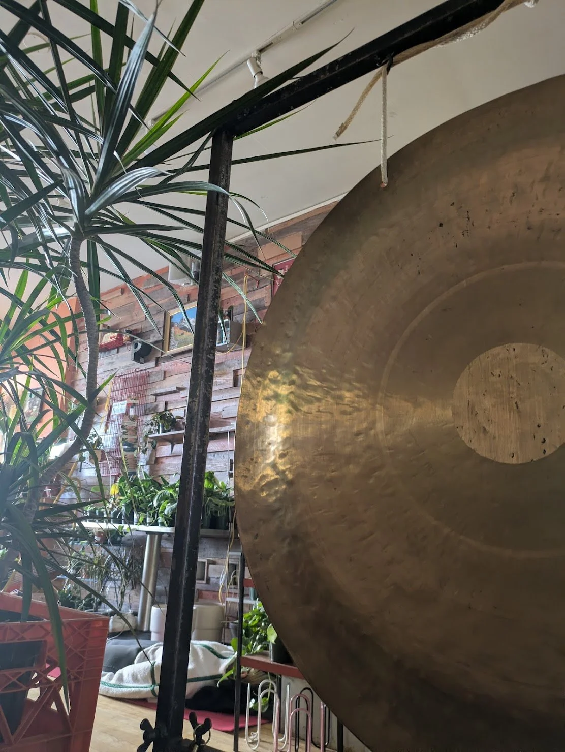 Pre-Brunch Soundbath at Perch Plants in Phoenixville 