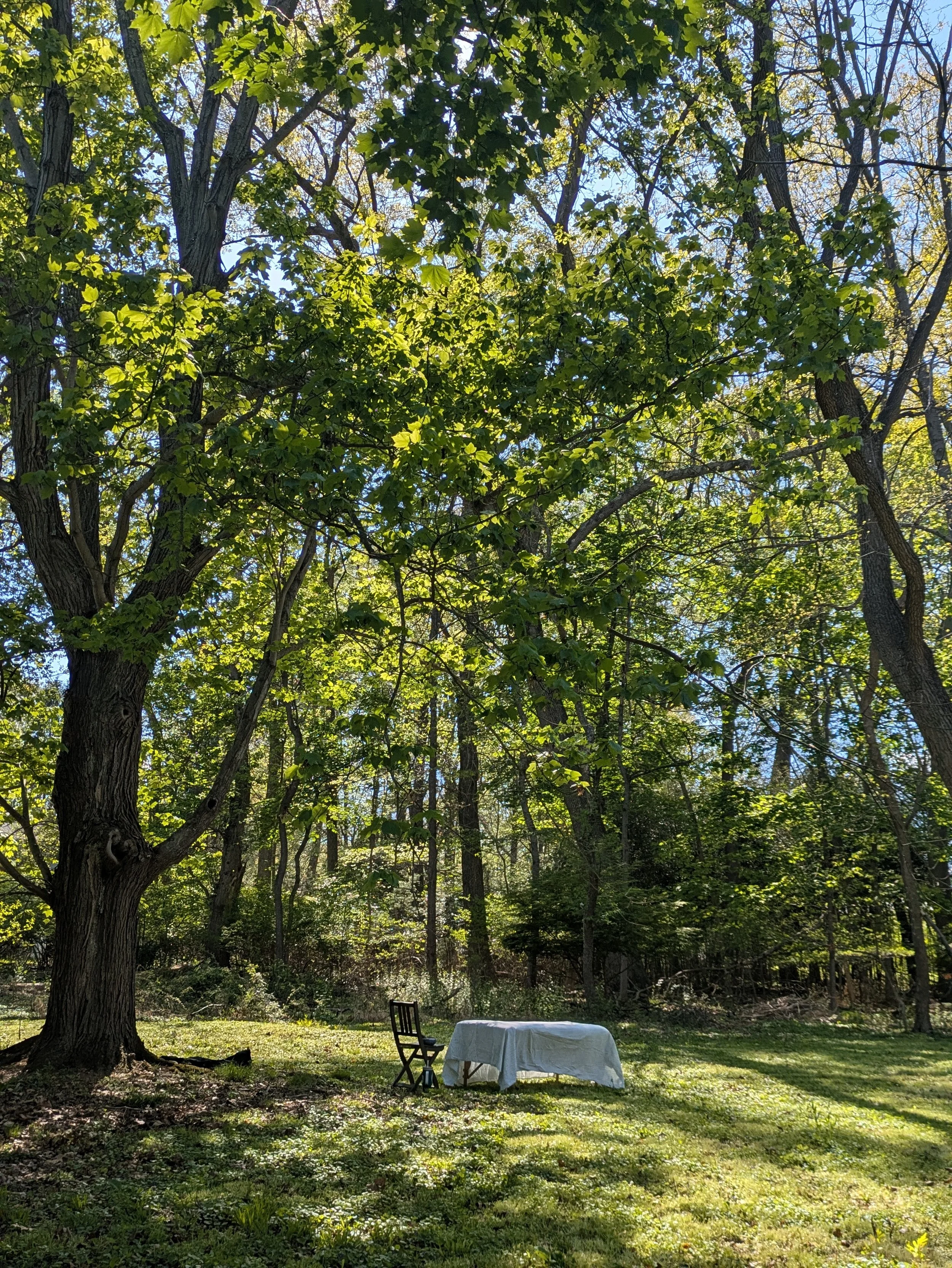Choosing between Sound or Craniosacral Private Service