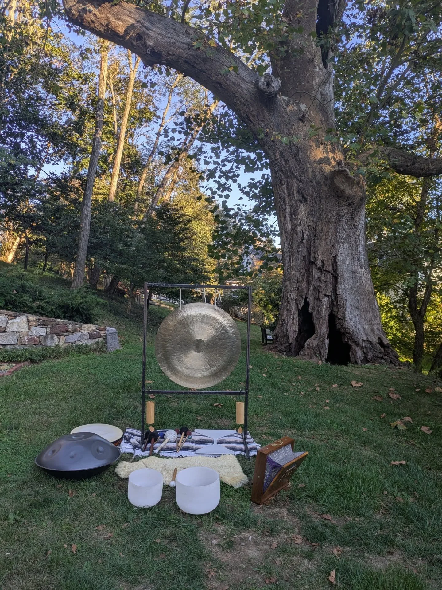 Sunday Sunset Soundbath 
5.17 7-8pm
📍Historic Yellow Springs
Investment $45

Experience a deep dose of rest, relaxation, and reflection as the sun sets over our serene grounds. This immersive hour of sound healing, led by Jen of White Wave Restorati