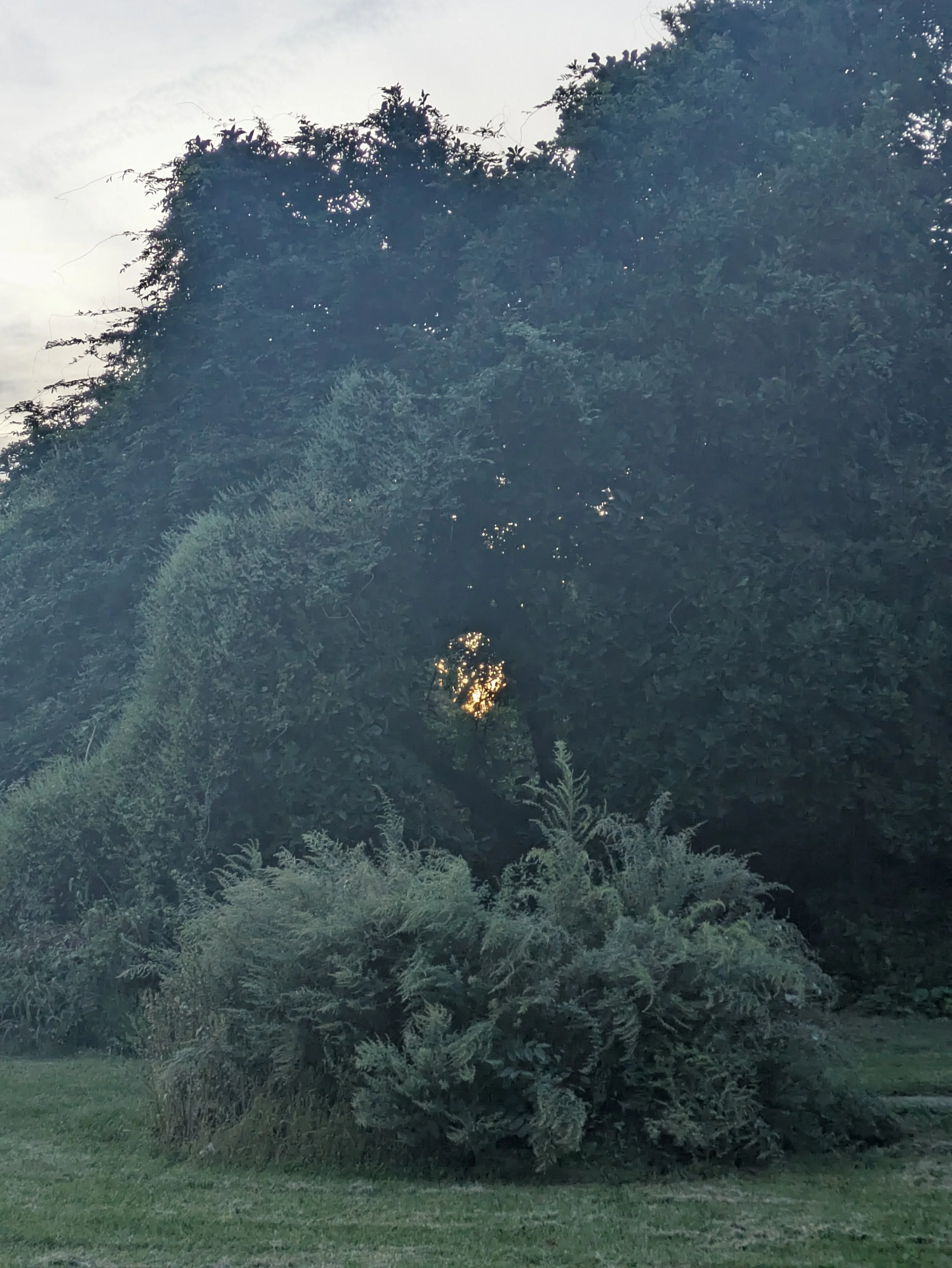 Reflections on Empty, Open Space