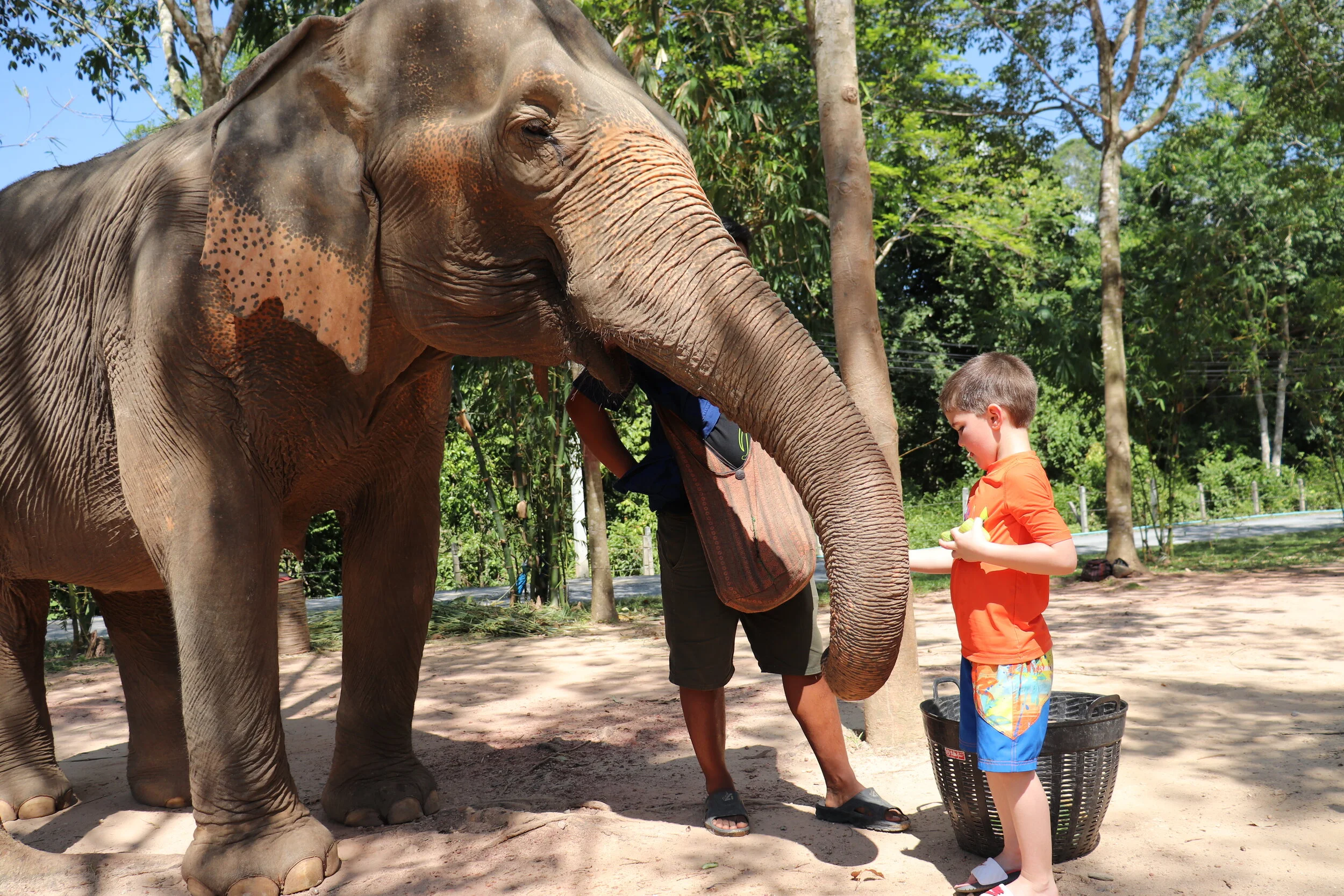 Elephant Sanctuary Phuket6.JPG