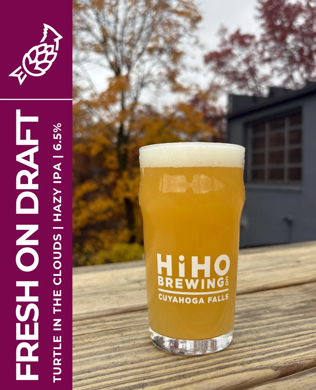 FRESH ON DRAFT: Turtle in the Clouds🐢☁️

This Hazy IPA has a big upfront aroma of tropical fruit, more specifically melon, honeydew, and papaya. It has a low citrus bitterness of fresh grapefruit and orange with a pillowy mouthfeel, like a cloud... 