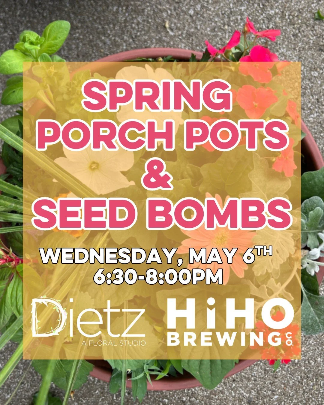 Spring Porch Pots &amp; Native Seed Bombs Workshop with @dietzfloralstudio 🌸🌱🍺

Spring is in full swing, and we're bringing you the ultimate creative night out at HiHO Brewing Co.!

This isn't just a workshop - it's a double-feature experience whe