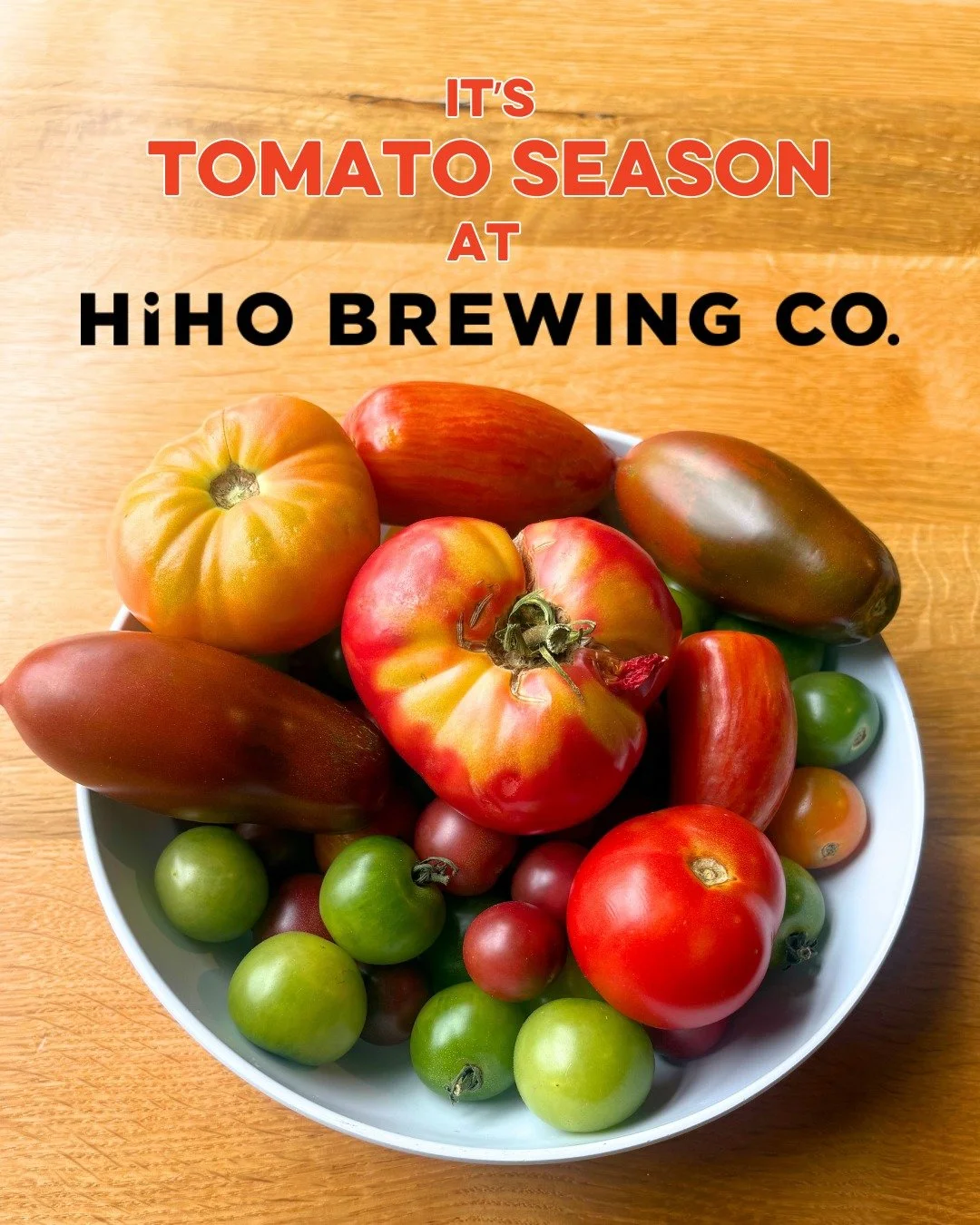 It's TOMATO SEASON at HiHO!🍅 

Check out this month's specials featuring fresh, locally grown tomatoes:

August's Veggie Special pizza has local heirloom tomatoes and fresh mozzarella on a basil Parmesan garlic oil. Our BLT, Caprese and Turkey Slide