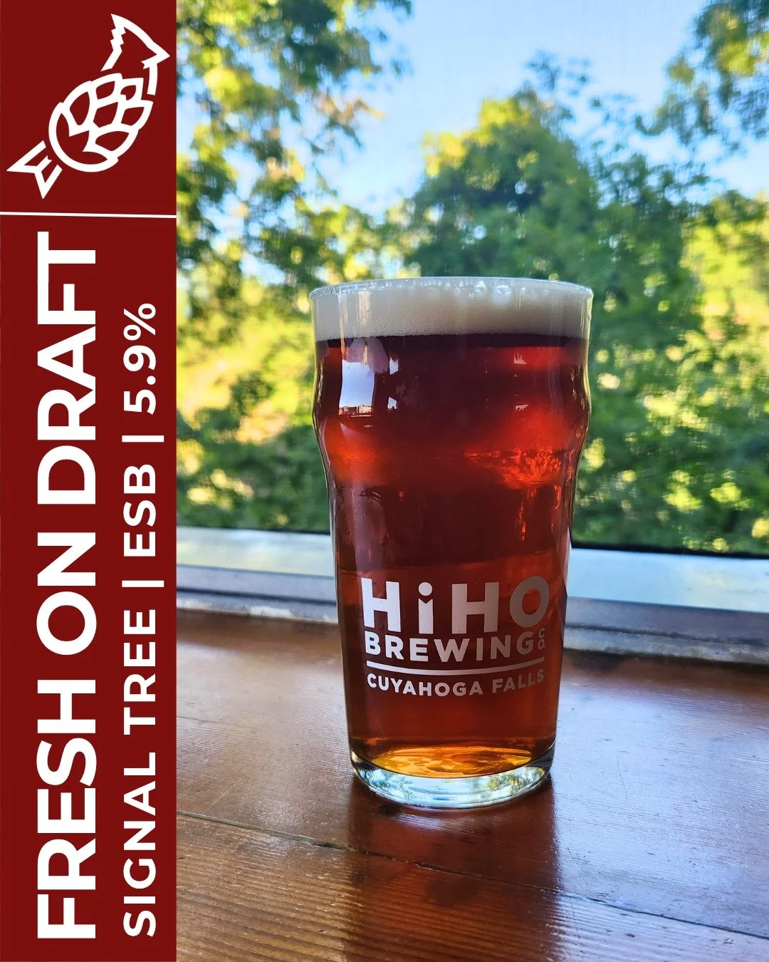 FRESH ON DRAFT: Signal Tree ESB🍻

This ESB was brewed to be easy drinking and has a soft hop aroma of floral and earthy notes with a mild and tasty malt character.

Signal Tree is back by very large demand from one of our bartenders (We're talking a
