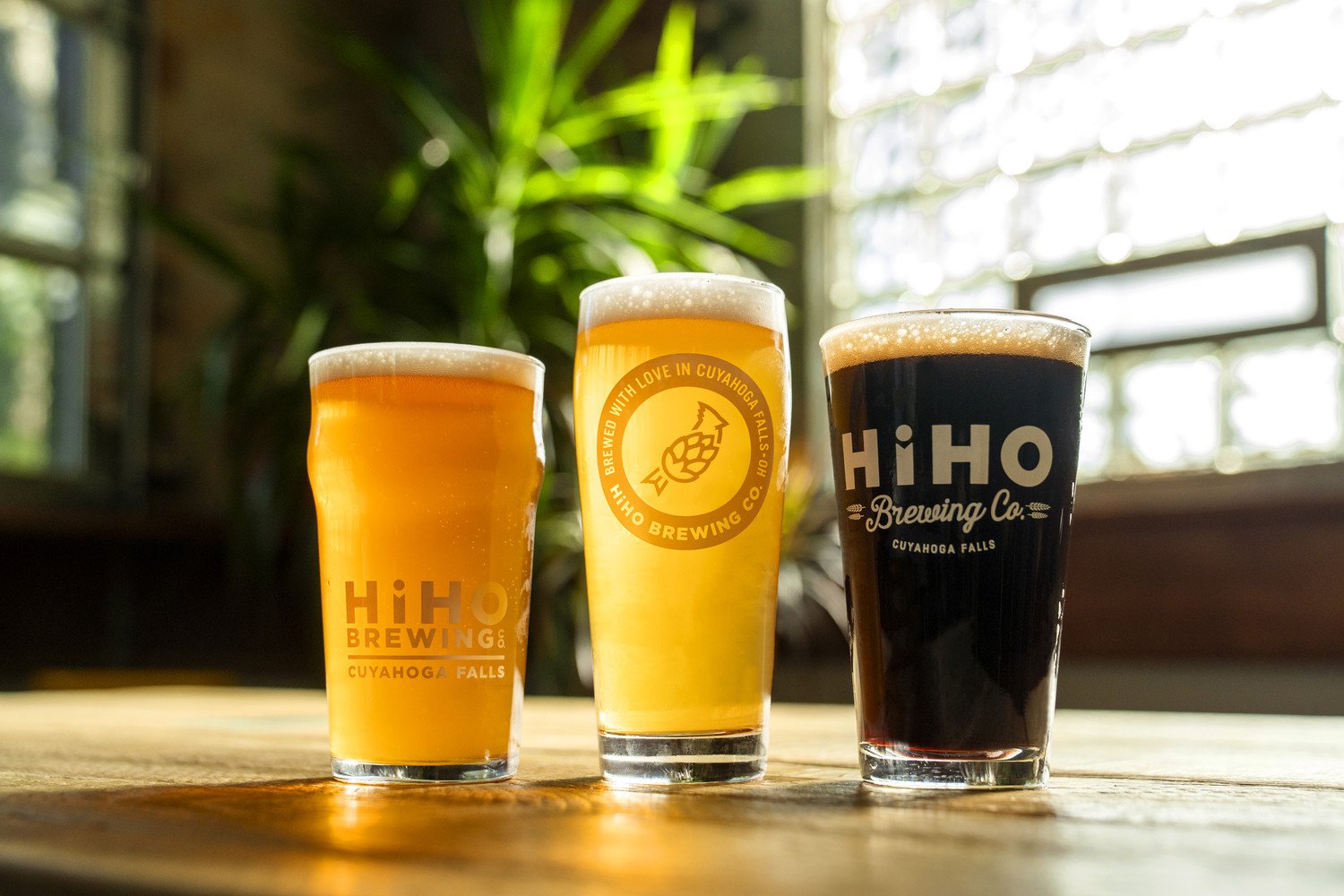Three glasses of beer on a wooden table in a well-lit room with green plants and windows in the background. The glasses have the HiHO Brewing Co. logo, with one containing a light-colored beer, another a darker beer, and the third an amber beer.