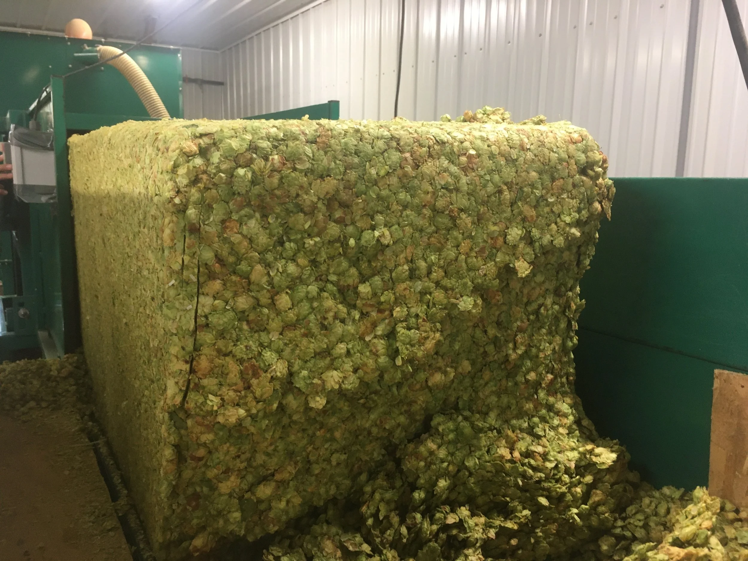 Hop Pellet Processing — Champlain Valley Hops