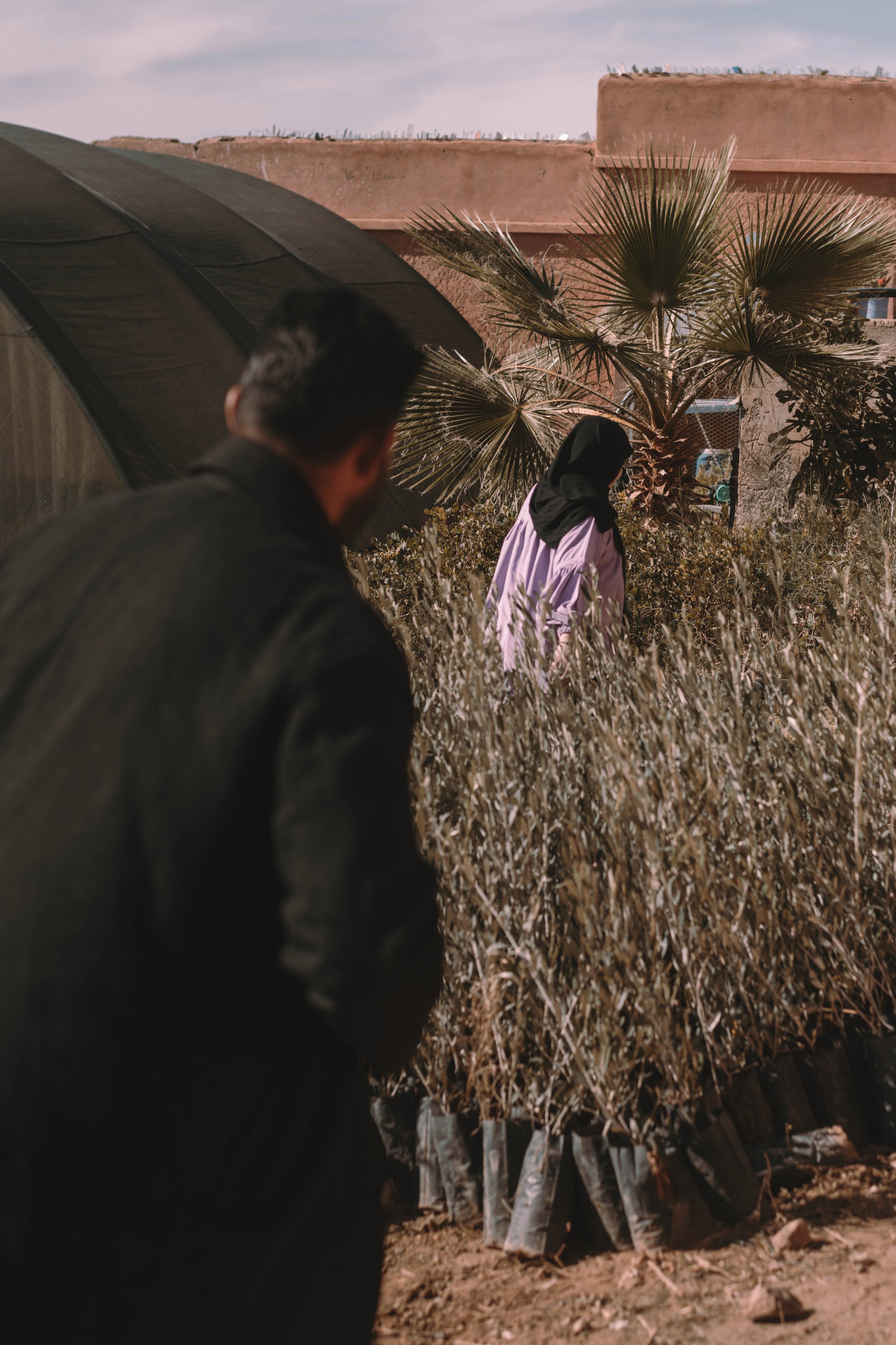 Crops and Water.jpg