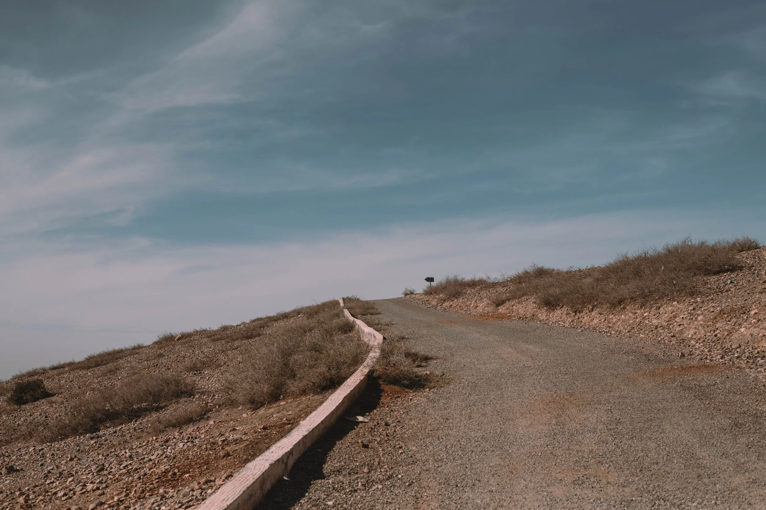 DSC_0303-Enhanced-NR copy.jpg