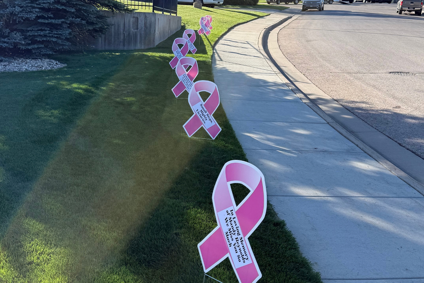 PGP Benefit Walk 3.png