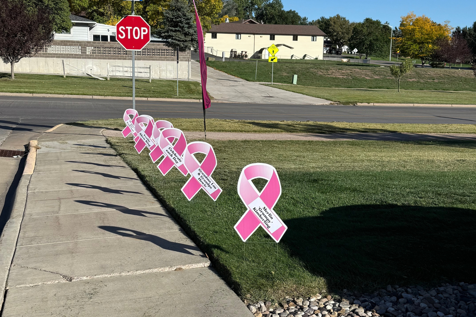 PGP Benefit Walk 2.png