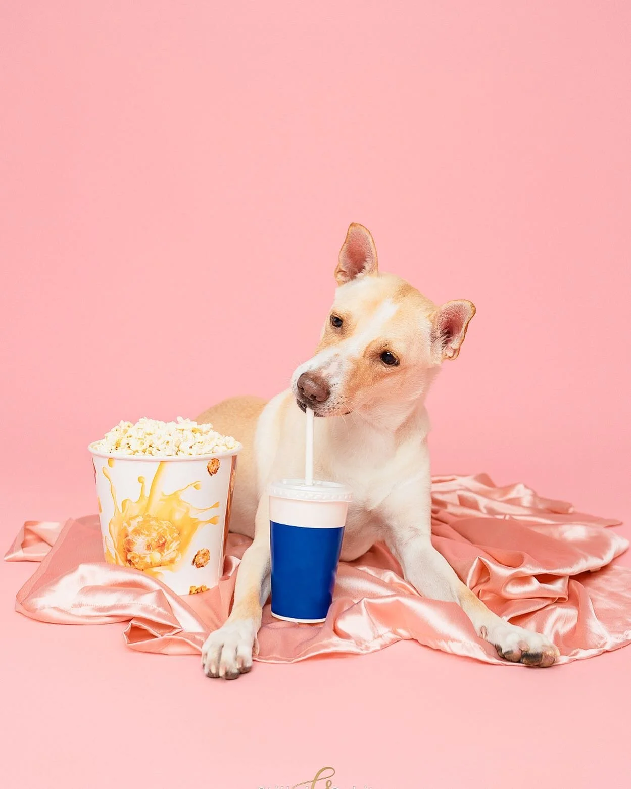 Netflix and chill ? Or something else. What are you upto this weekend