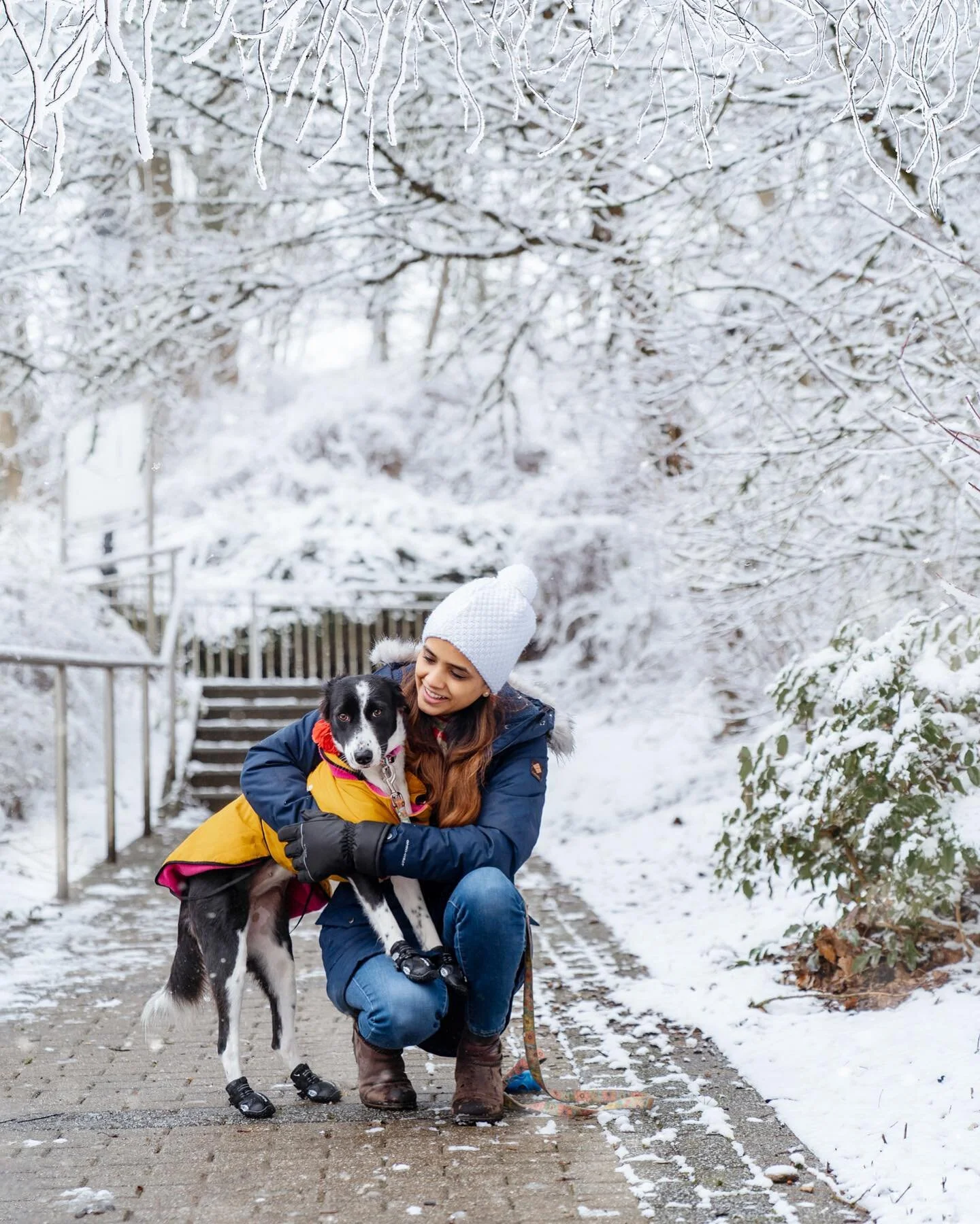 My first snow shoot featuring my favourites @mybowloffun and @fujitantrums 

Clicking in snow was a different level of struggle altogether. My hands and fingers were freezing and I was trembling. And I was dead scared that what If I drop my camera. B