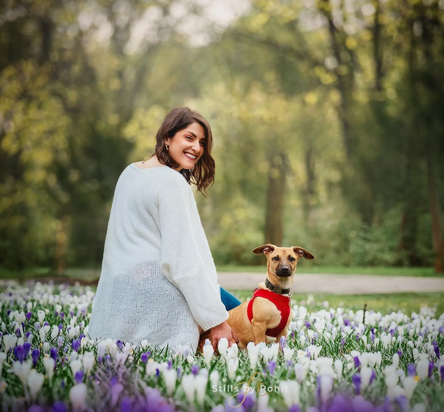 Another favourite of mine from the photoshoot of @pennuf and her little pup Cyb&egrave;le ❤️❤️