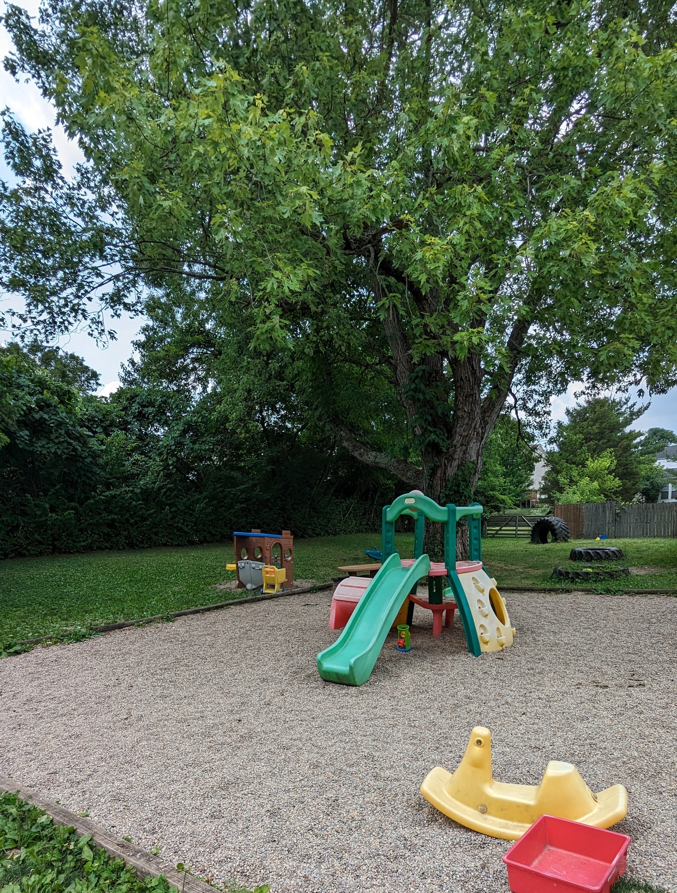 PXL_20240617_163209639.jpg