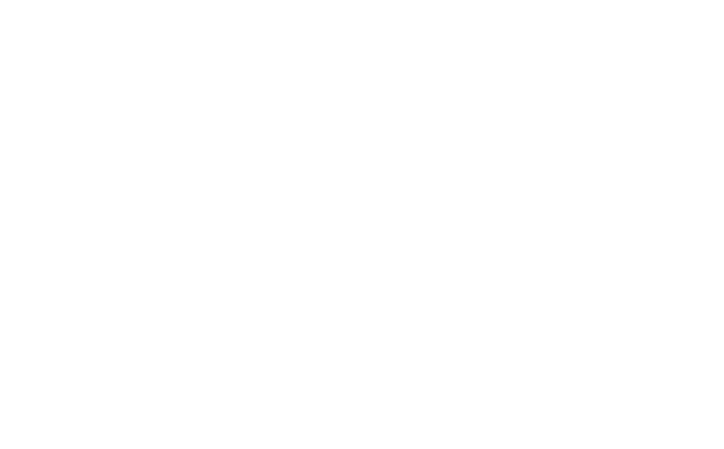 American Mobile Homes Inc.