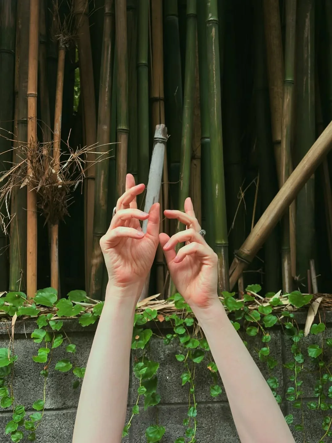 latelyish. 🍂
autumn, hello. i feel you though the heat hasn't left completely.
i feel the tired, slowness of the season pulling me inside the comfort of my shell.