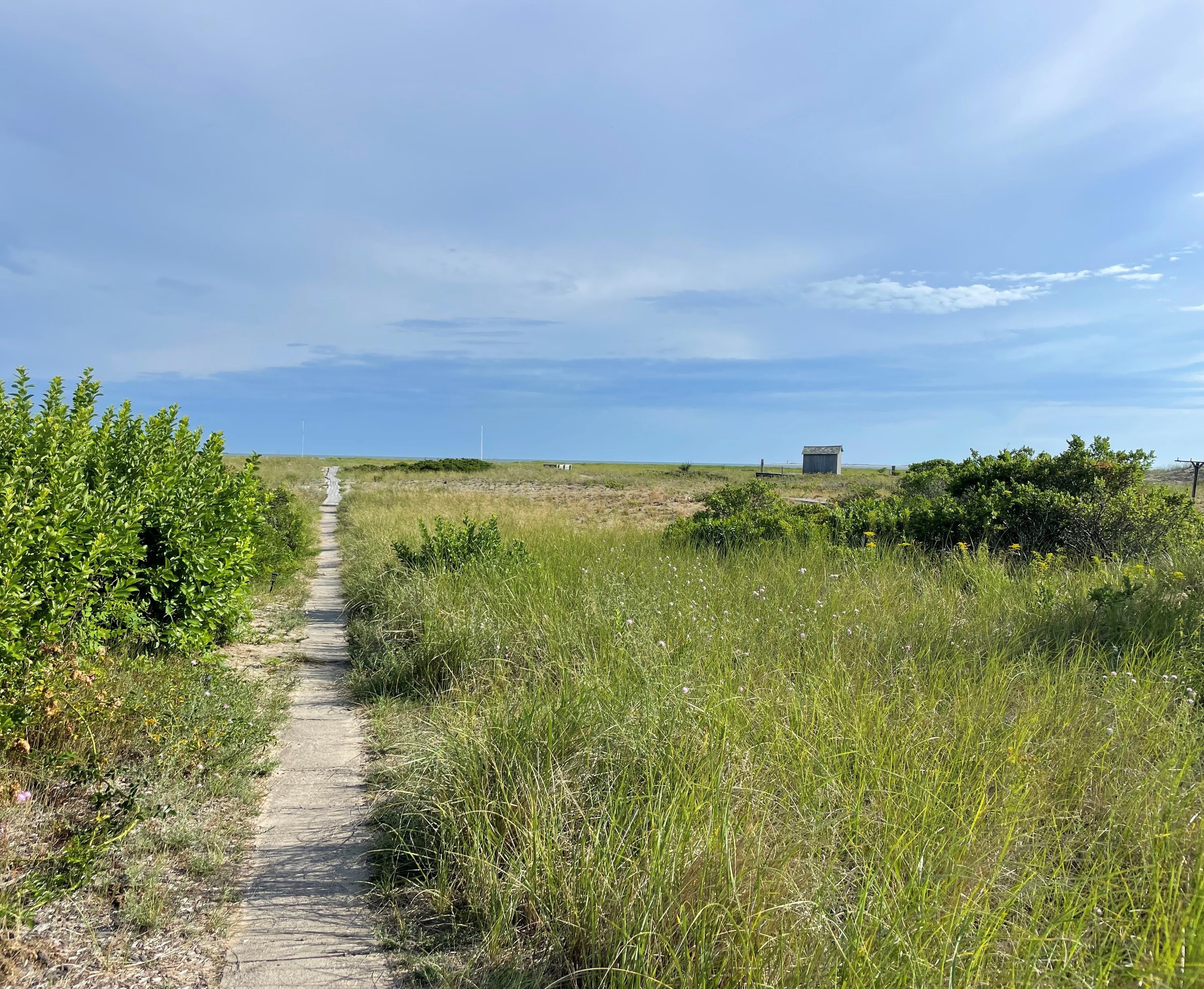 My Final Post: 6 Things I Learned During My Time at Tableaux Wealth