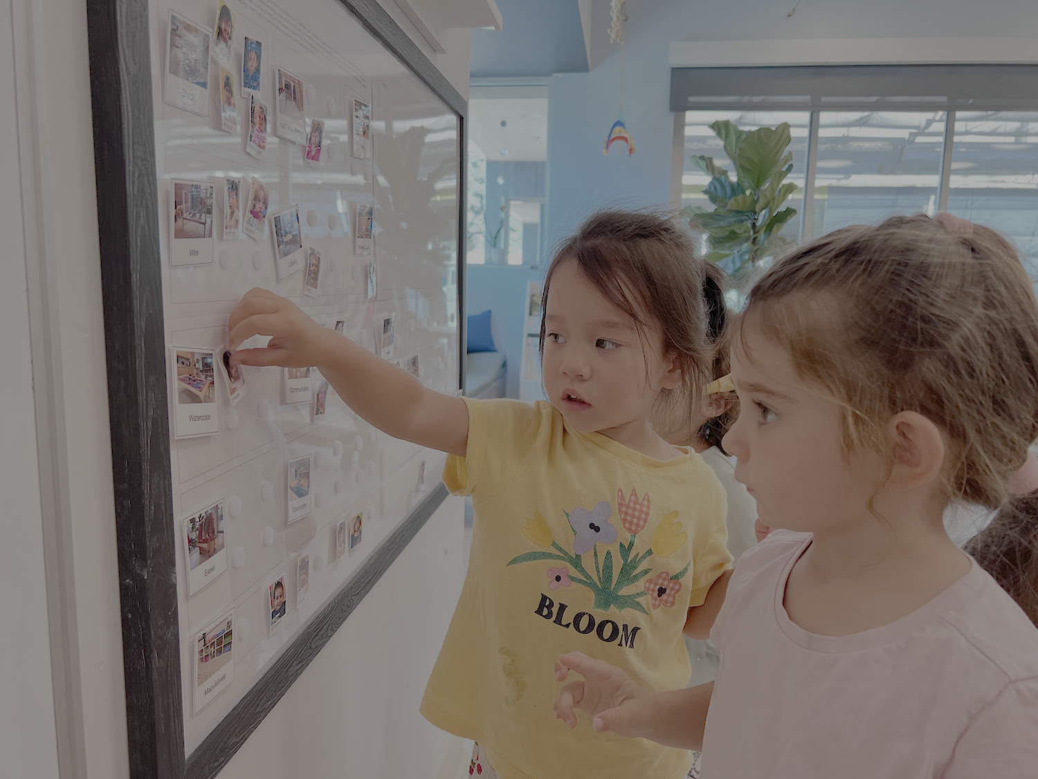 Admissions Notification