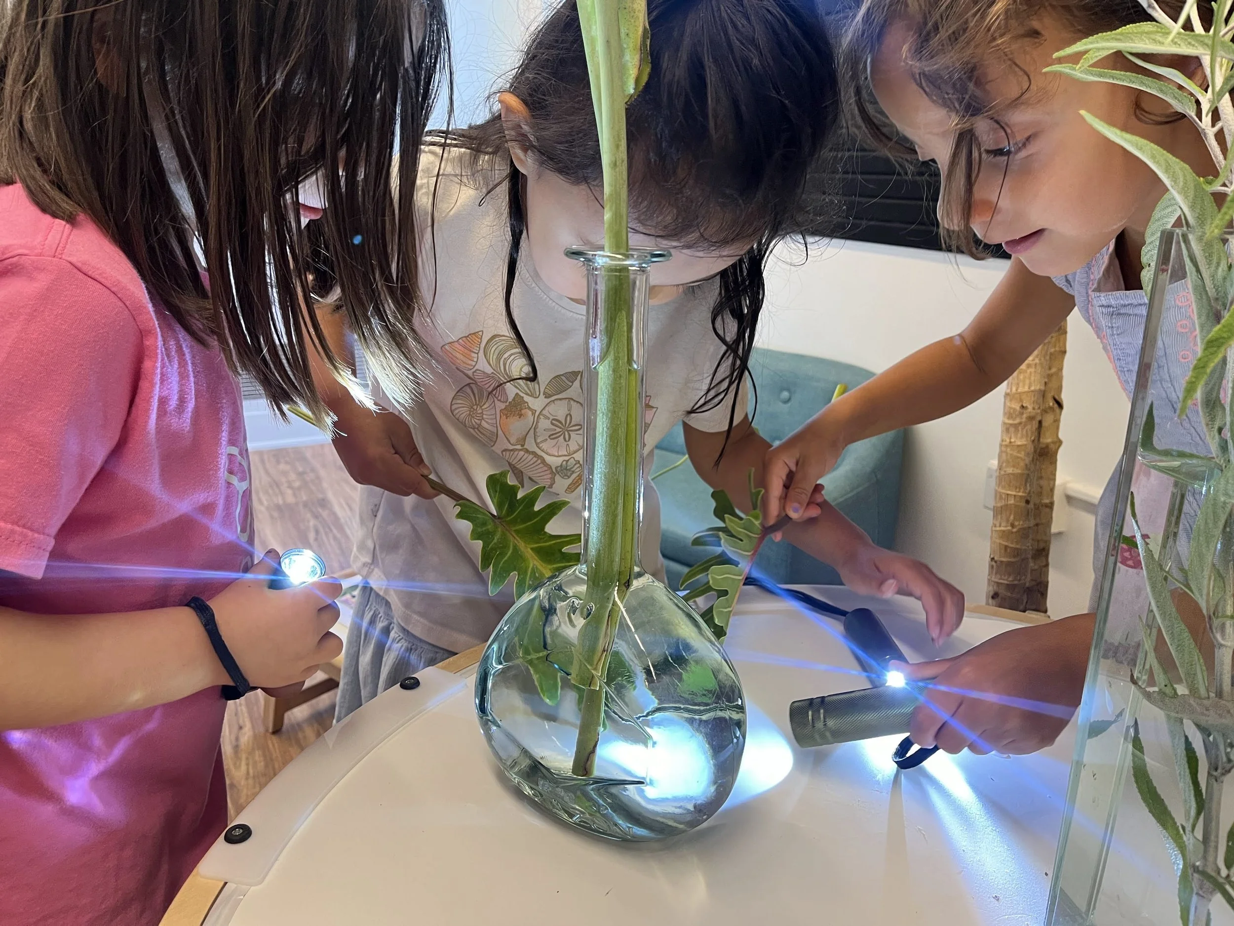 Understanding Application Deadlines