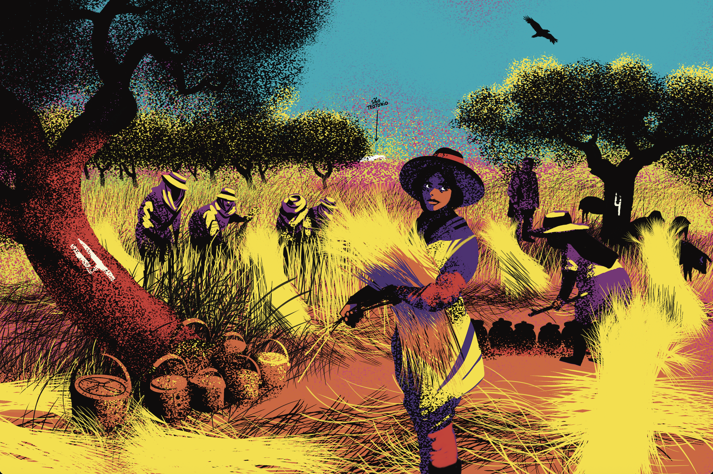 Stories Beneath the Cork Oaks