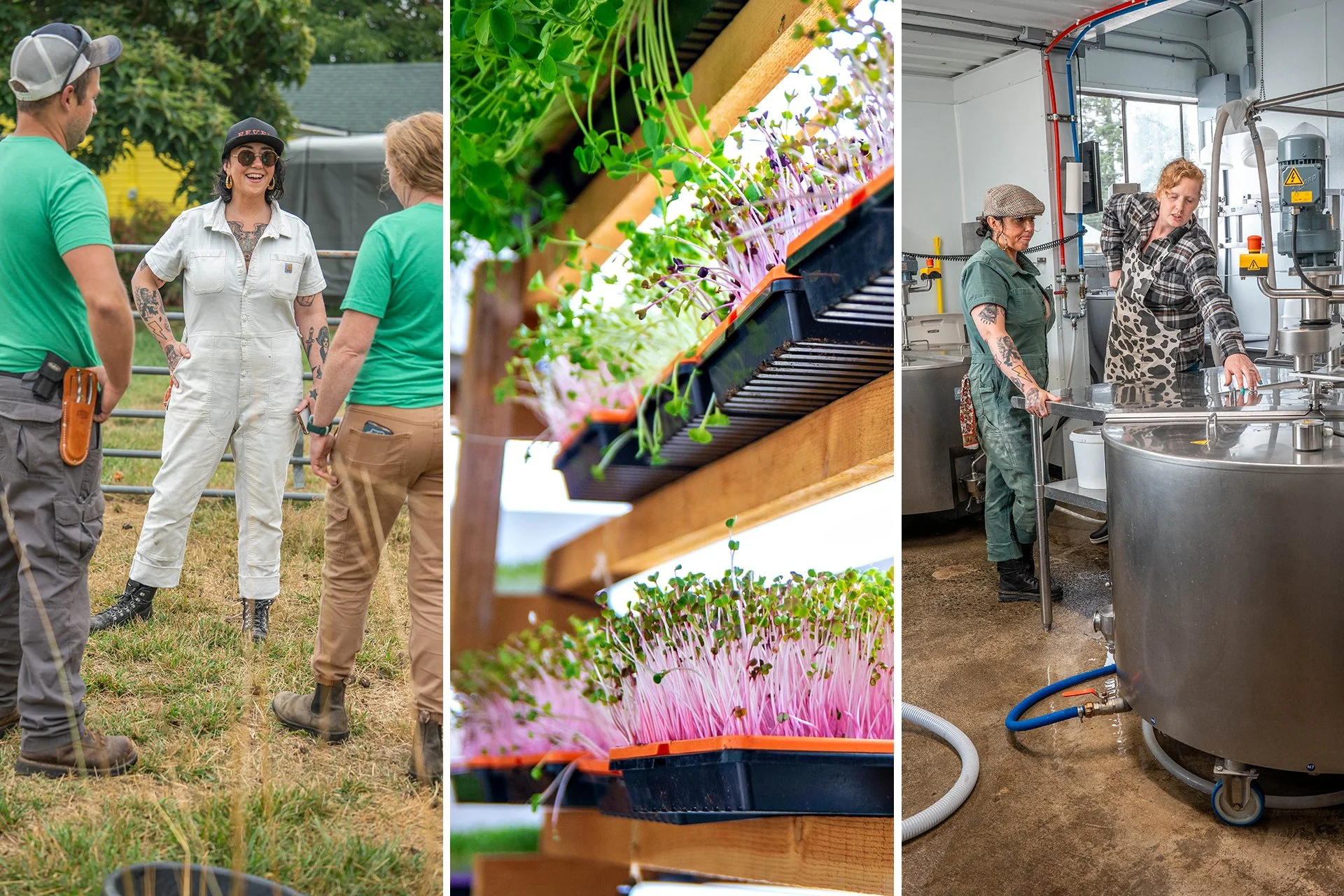 Three images showing a woman talking to two farmers, a row of microgreens, and a woman talking to a dairy farmer.