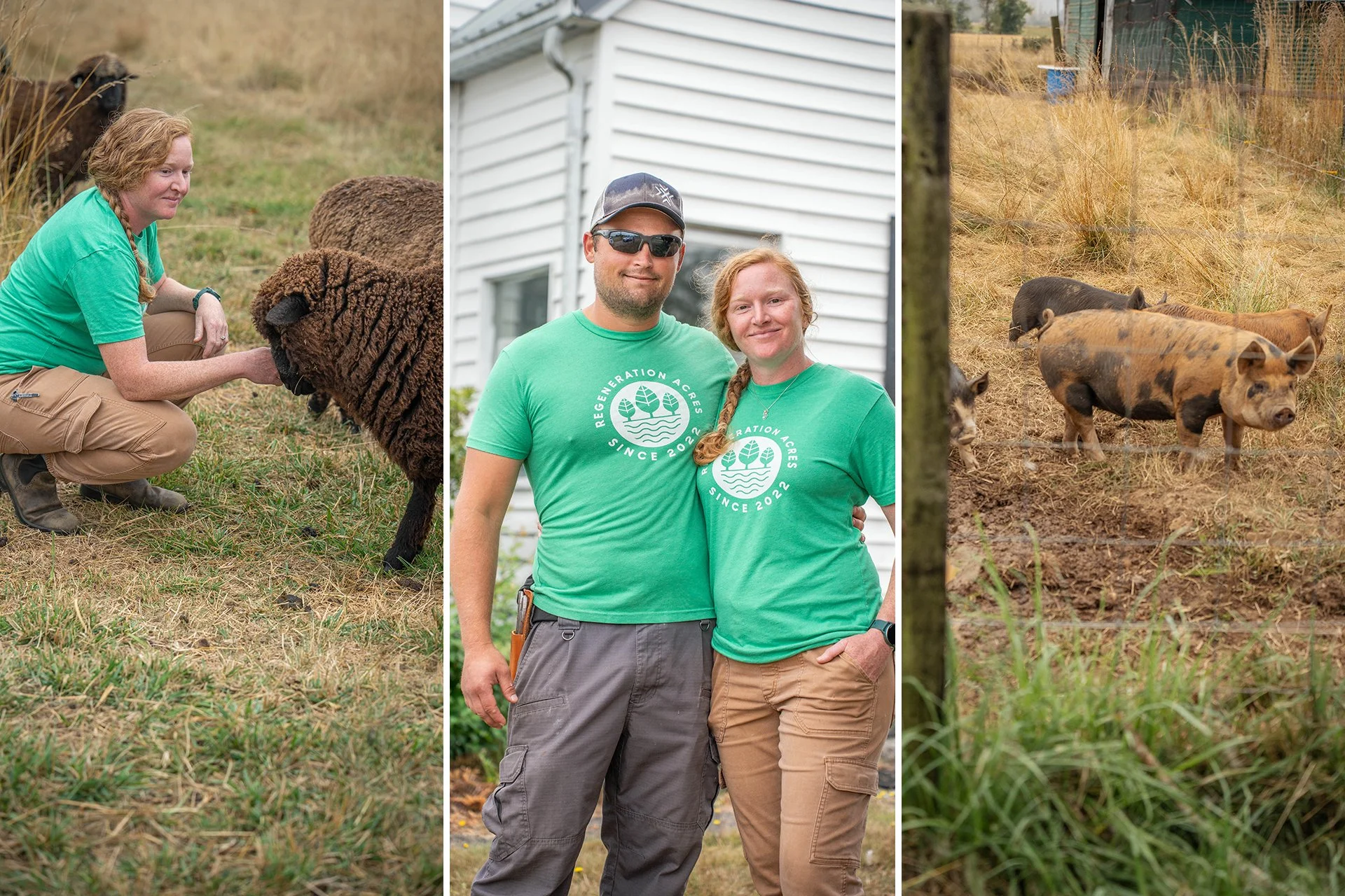 A collage of three images featuring a woman in a green shirt kneeling down to pet sheep, a man and woman in green shirts posing in front of a white farmhouse, and a small group of Kunekune pigs on a farm.