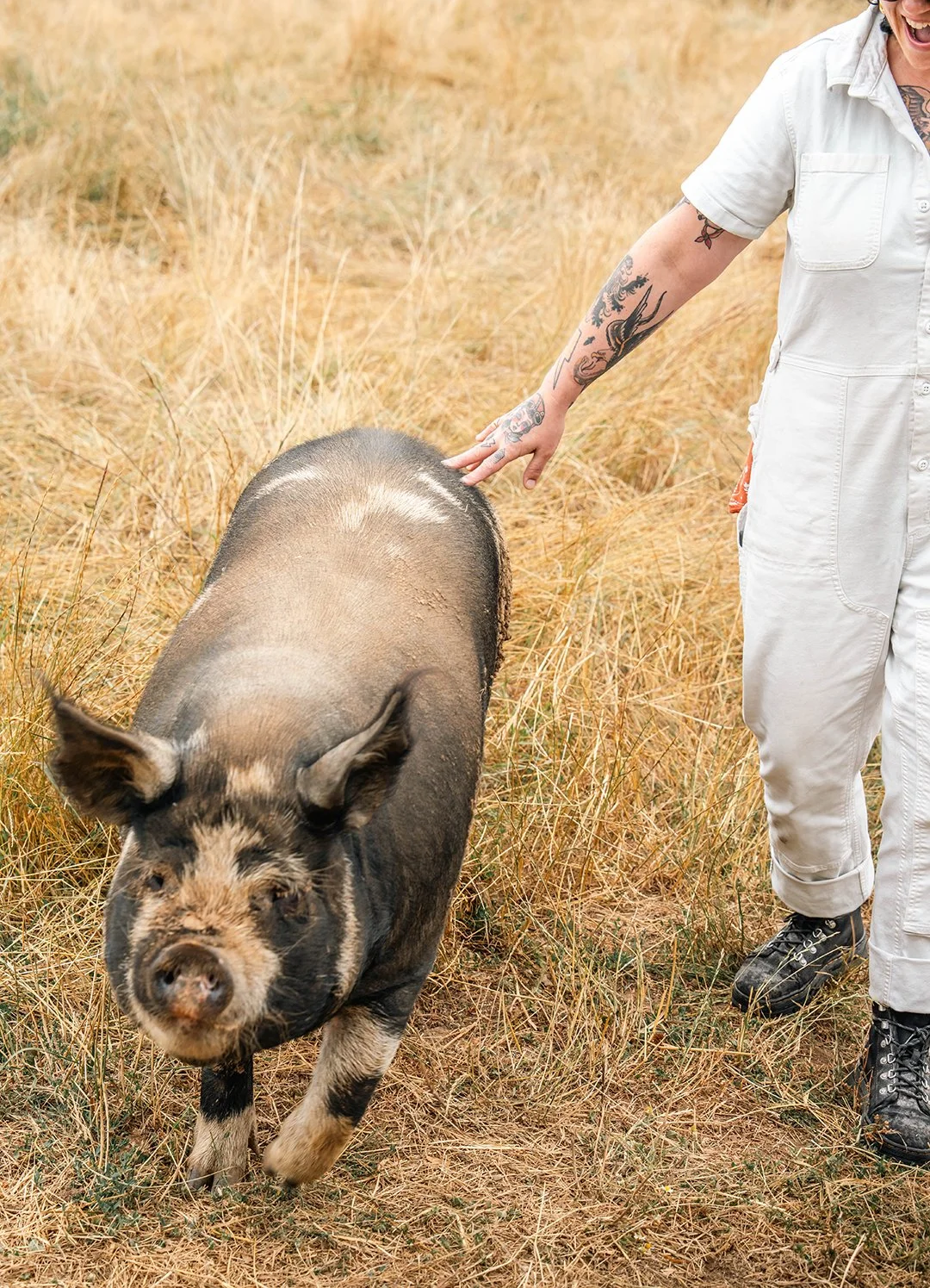 A woman with tattoos in a white jumpsuit walks alongside a pig in a field.