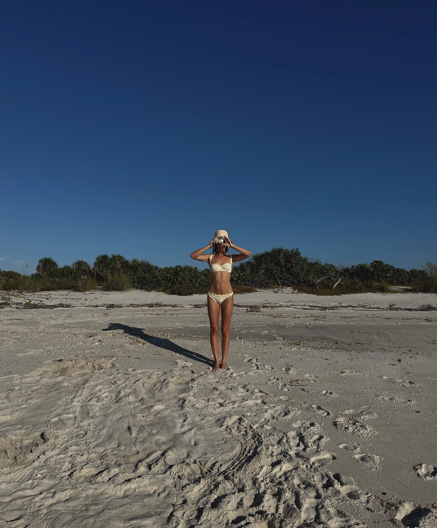 sun shells stone crab and bug bites