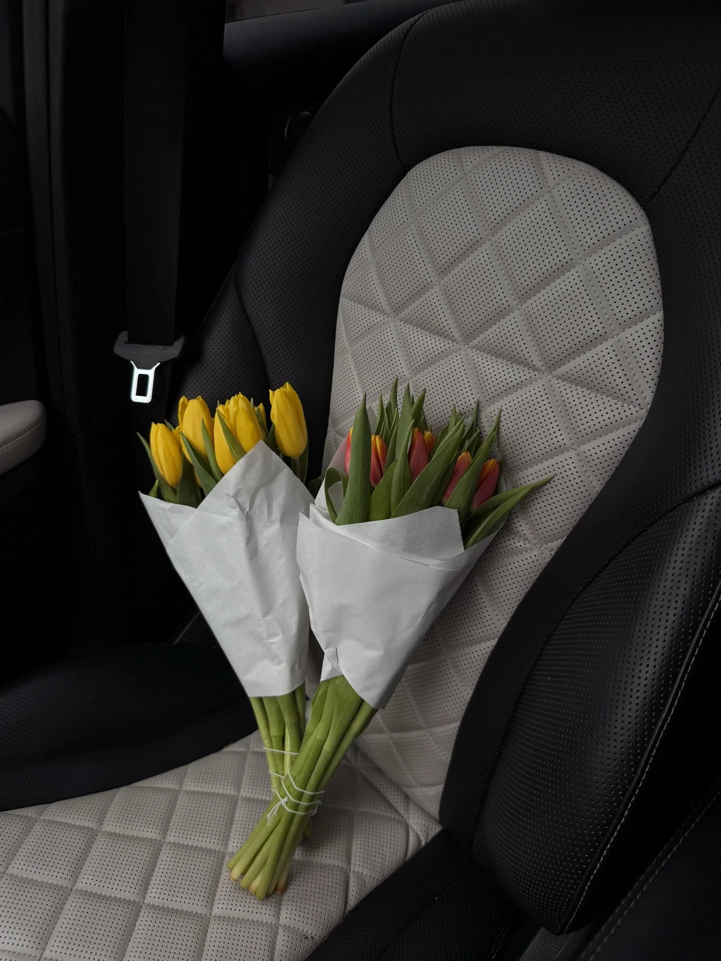 Passenger princess 🌷🪻🌹🌻