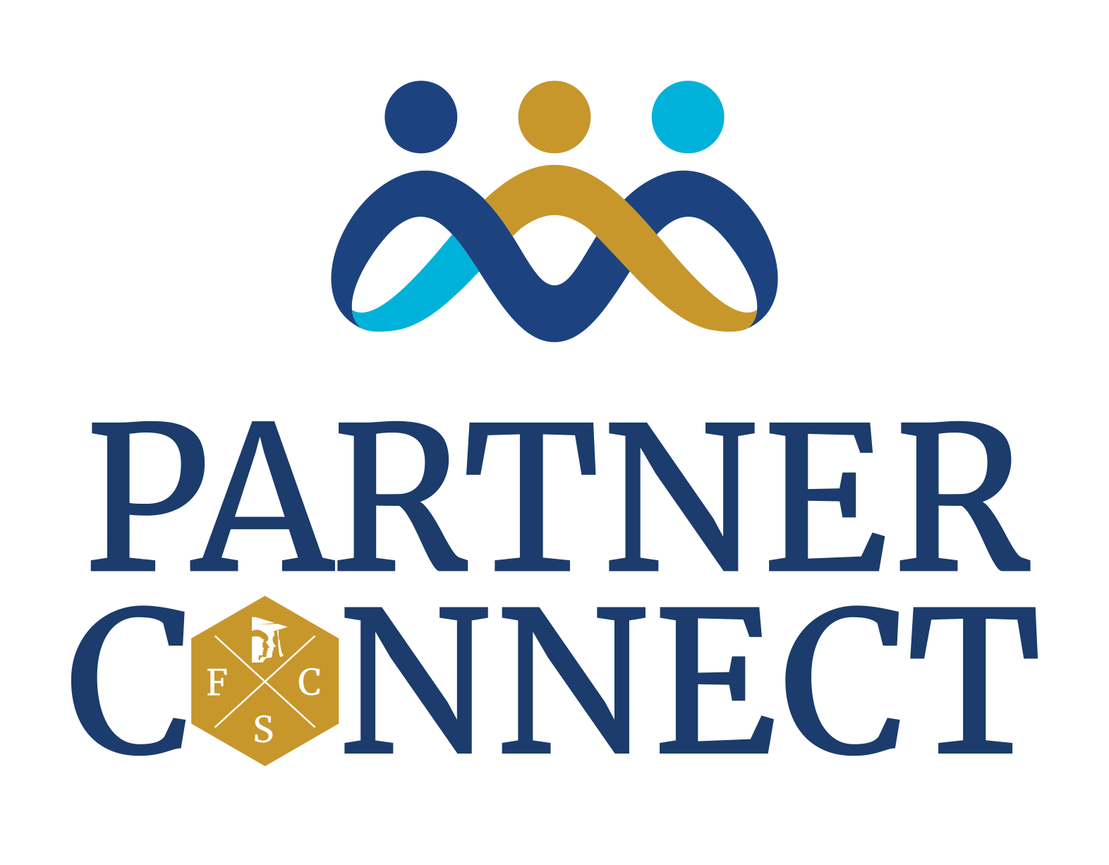 Partner Connect
