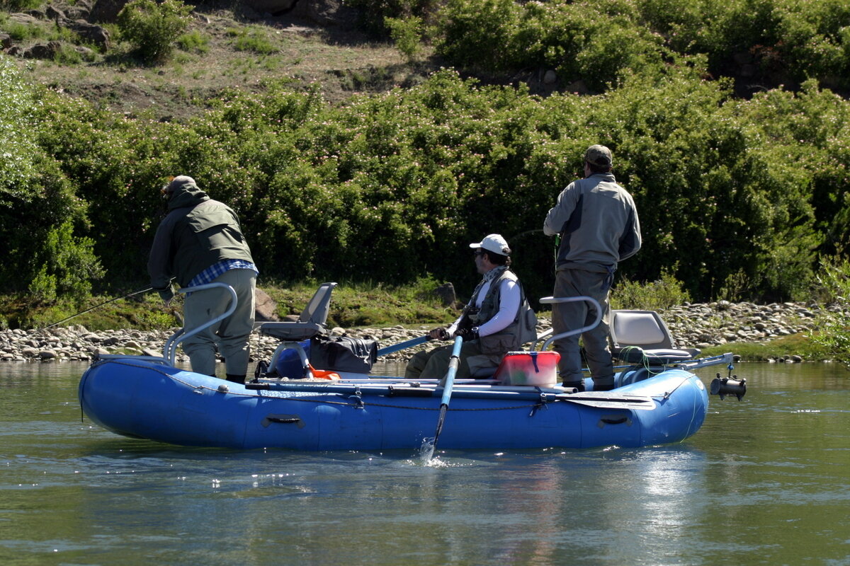 Fly Fishing  Guided Trips To the Best Fishing Spots In Patagonia -  Patagonia Wild Waters