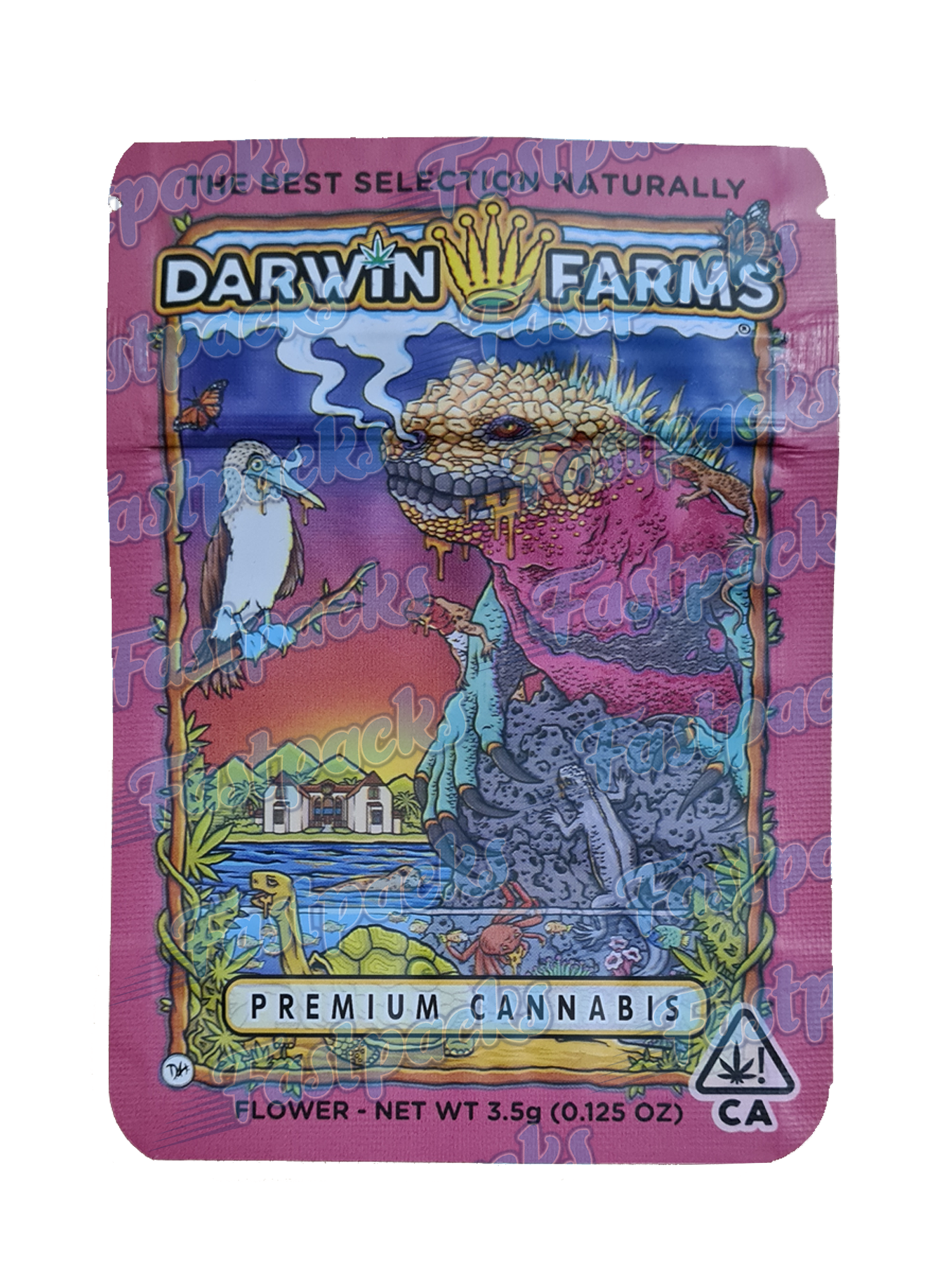 darwin front.png