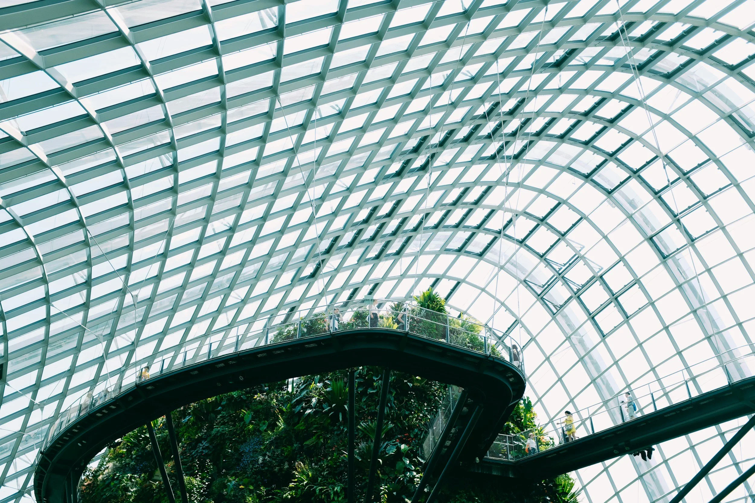 Interior of a glass-domed greenhouse with walkway and lush greenery.