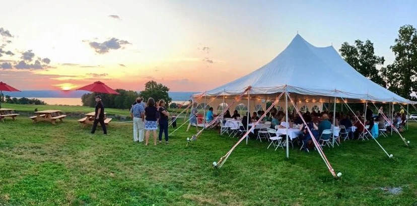 66bbf61f990d1c7fc5fade8f