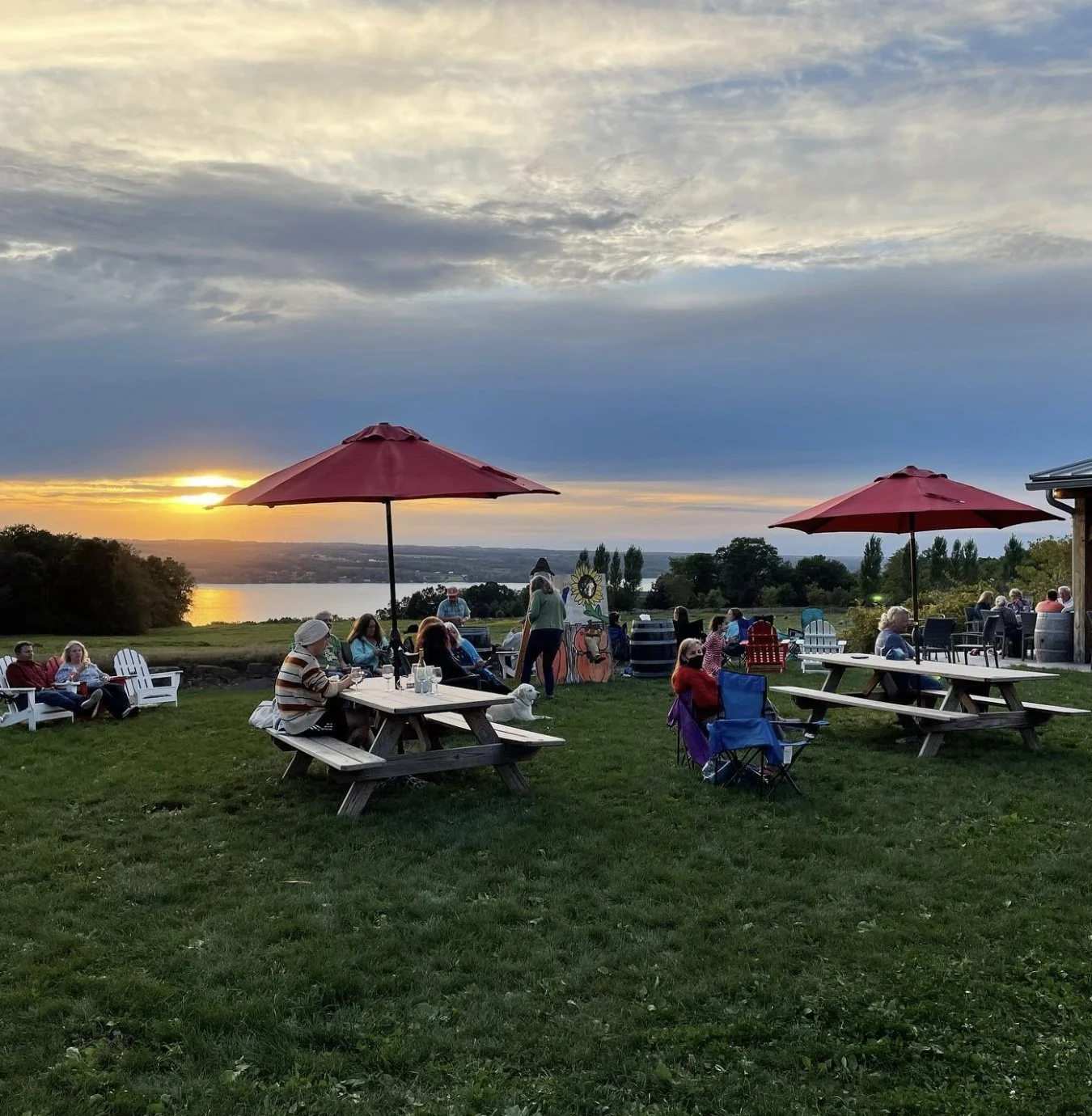 66bc8bbd10fe726b8a723f63