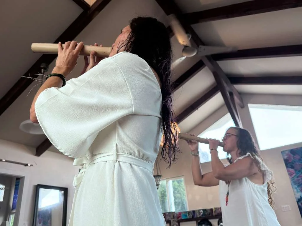 WhatsApp Image 2026-03-24 at 4.39.15 PM.jpeg