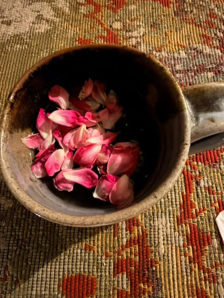 WhatsApp Image 2026-03-24 at 4.39.44 PM (3).jpeg