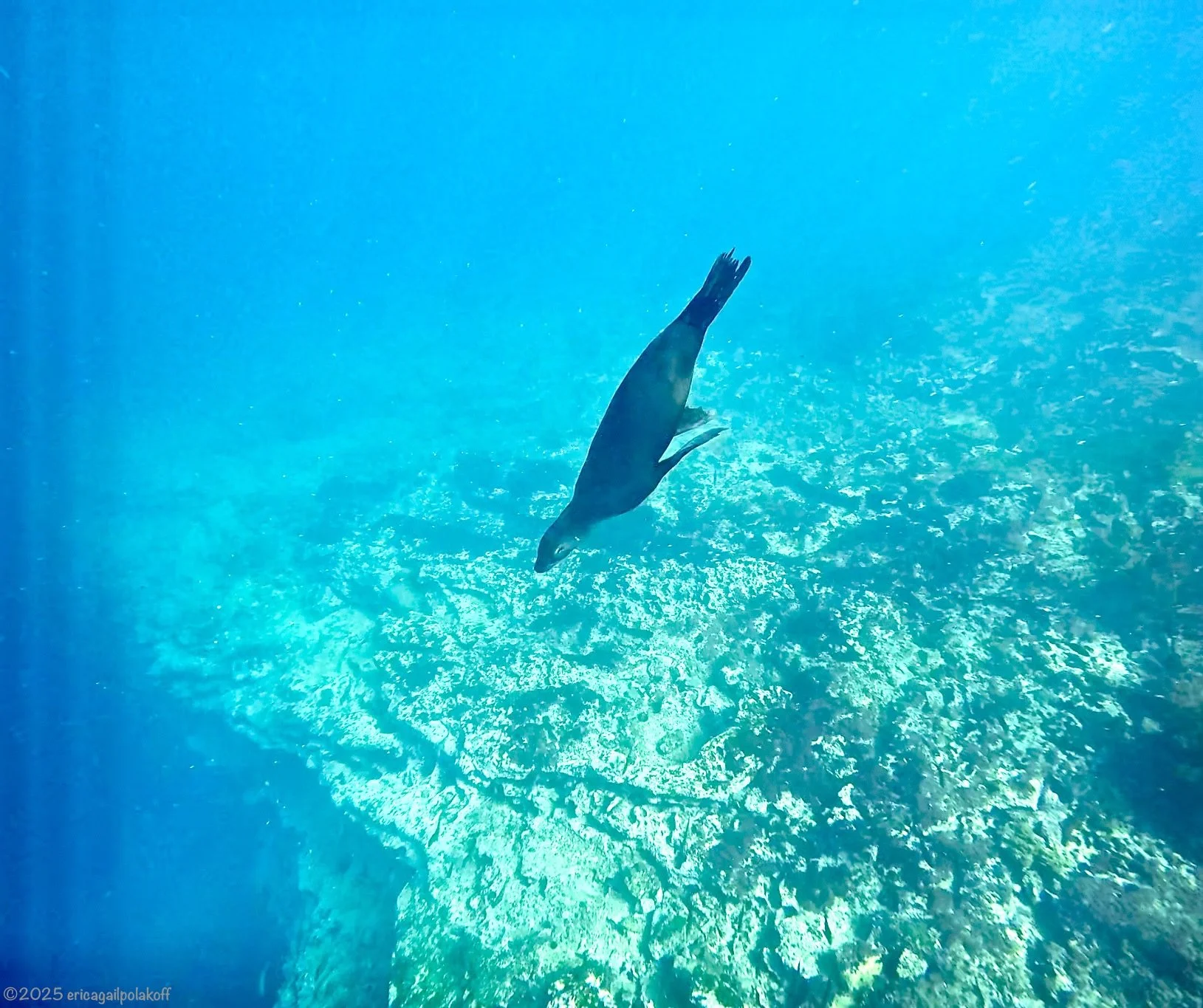 Screenshot 2026-03-10 at 4.30.08 PM.jpeg