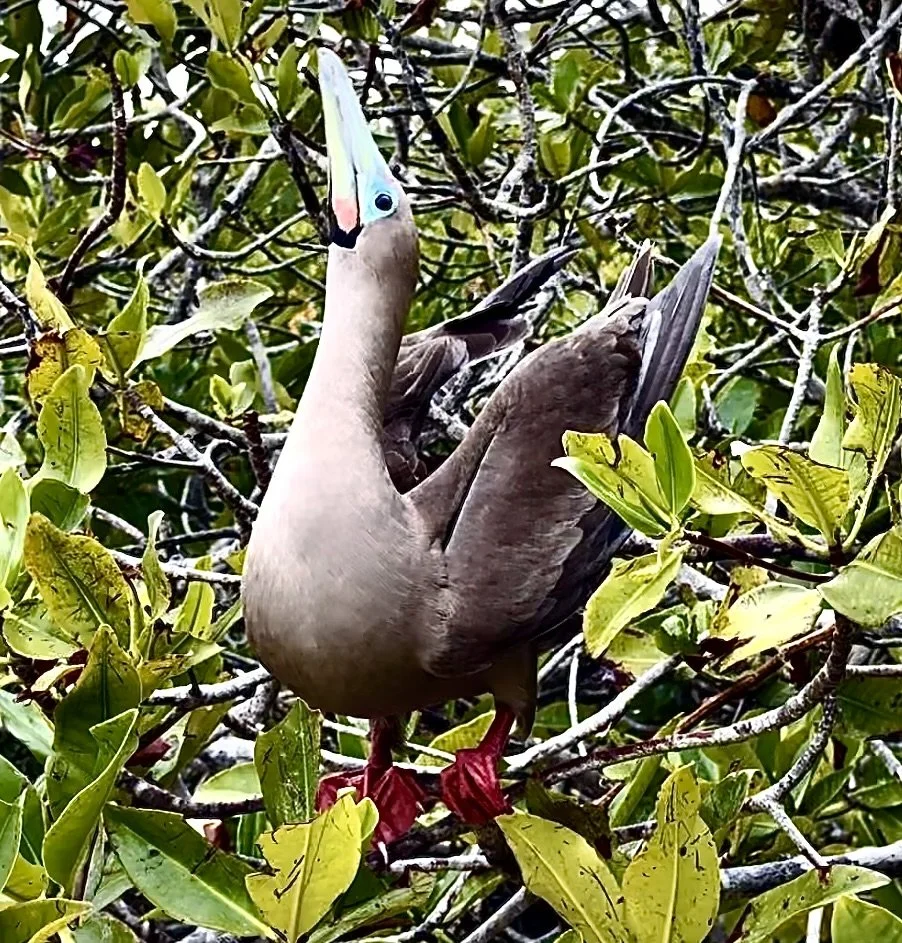 Screenshot 2025-12-30 at 12.29.22 PM.jpeg