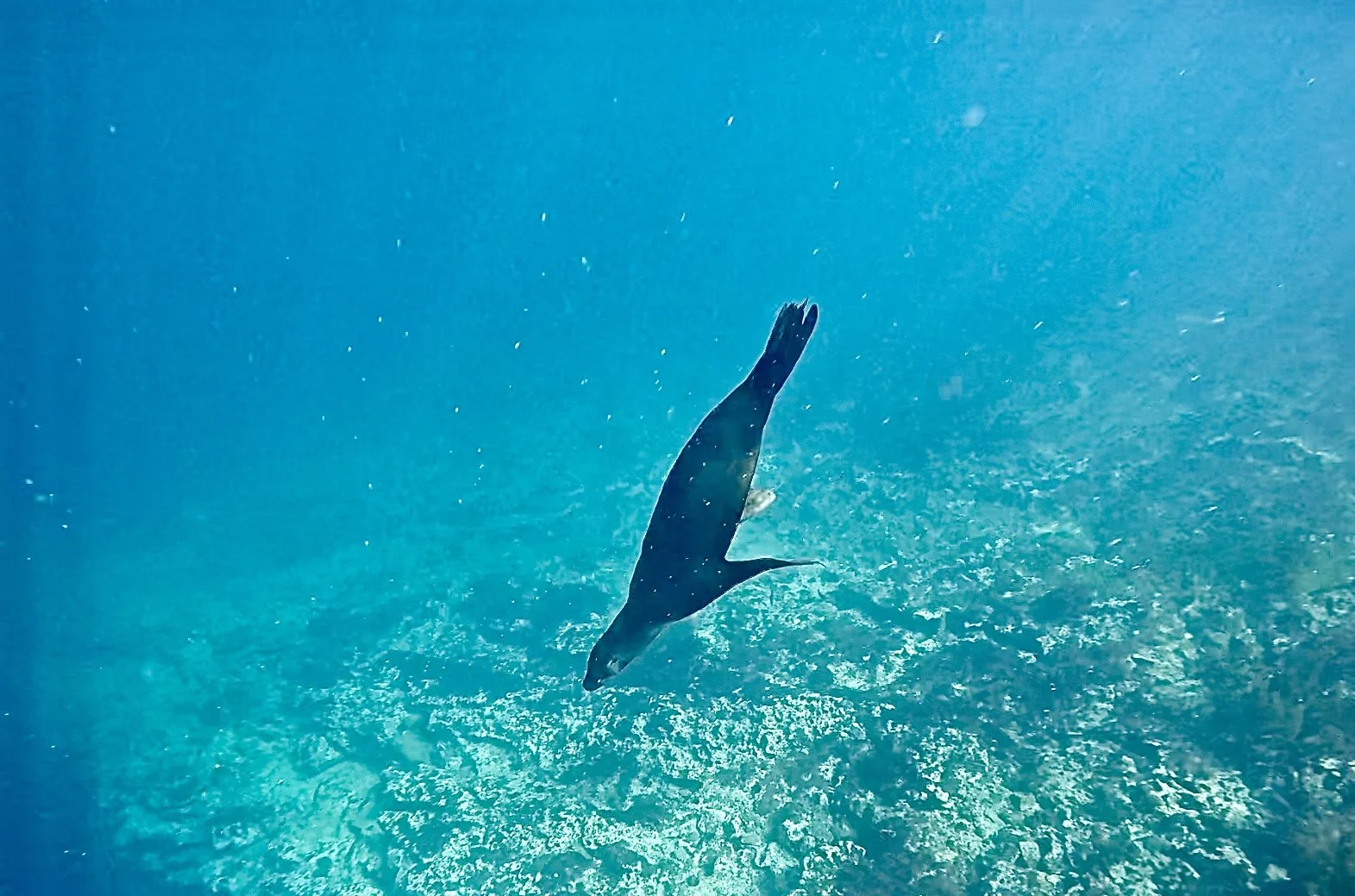 Screenshot 2026-03-10 at 4.30.35 PM.jpeg