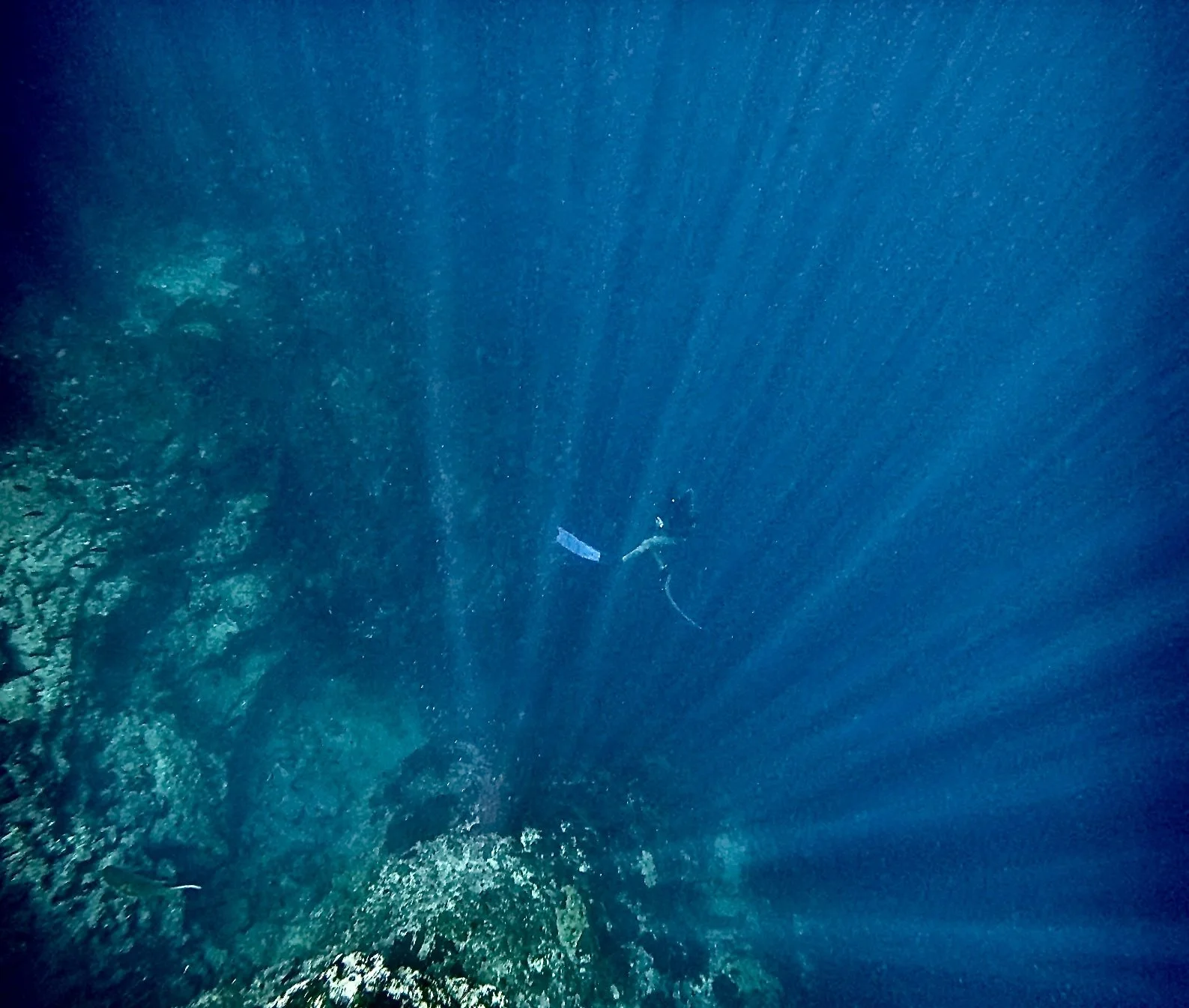 Screenshot 2025-11-29 at 12.52.47 PM.jpeg