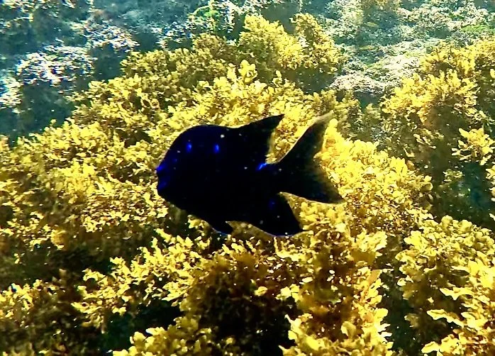 Screenshot 2026-01-08 at 3.54.06 PM.jpeg