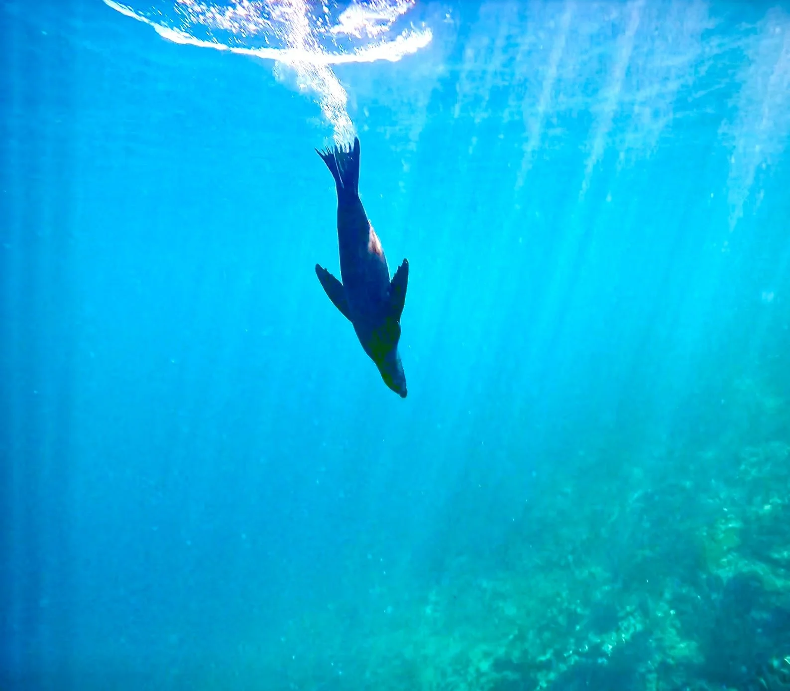 Screenshot 2026-03-10 at 4.32.22 PM.jpeg