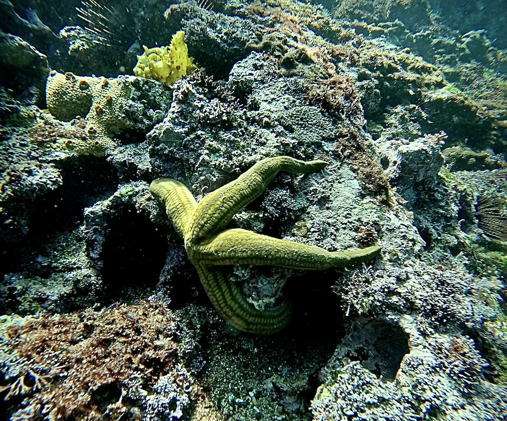 Screenshot 2026-01-08 at 3.38.12 PM.jpeg